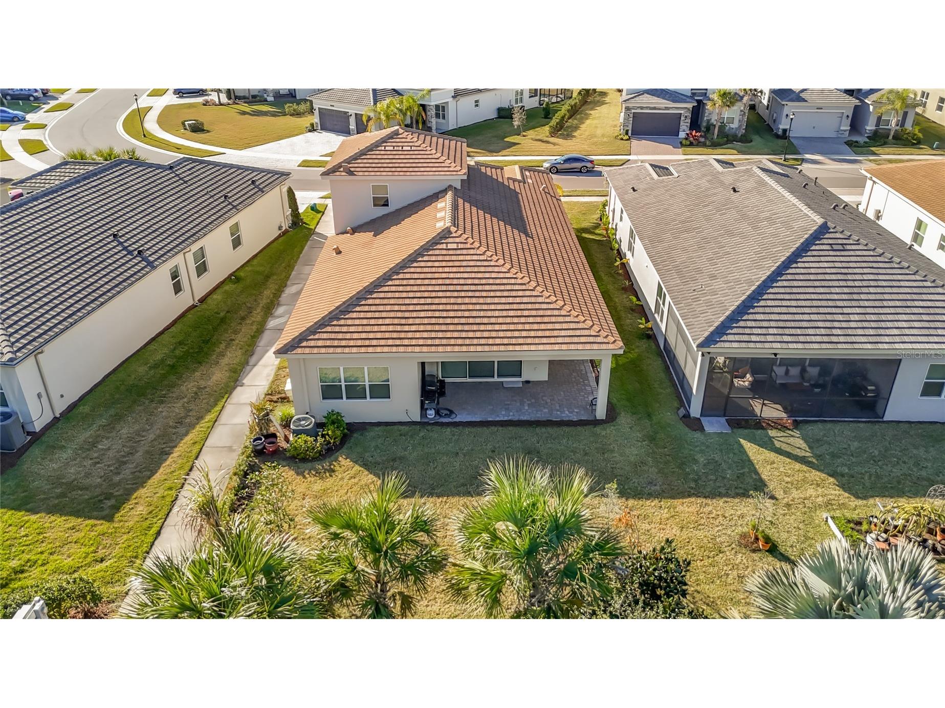 32676 Tree Of Life Avenue Wesley Chapel FL 33543 TB8469330 image43