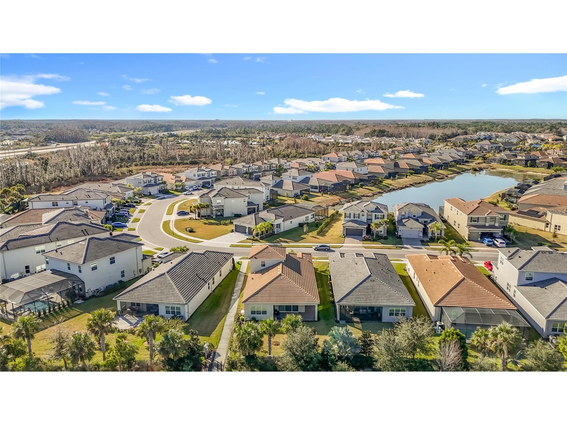 32676 Tree Of Life Avenue Wesley Chapel FL 33543 TB8469330 image44