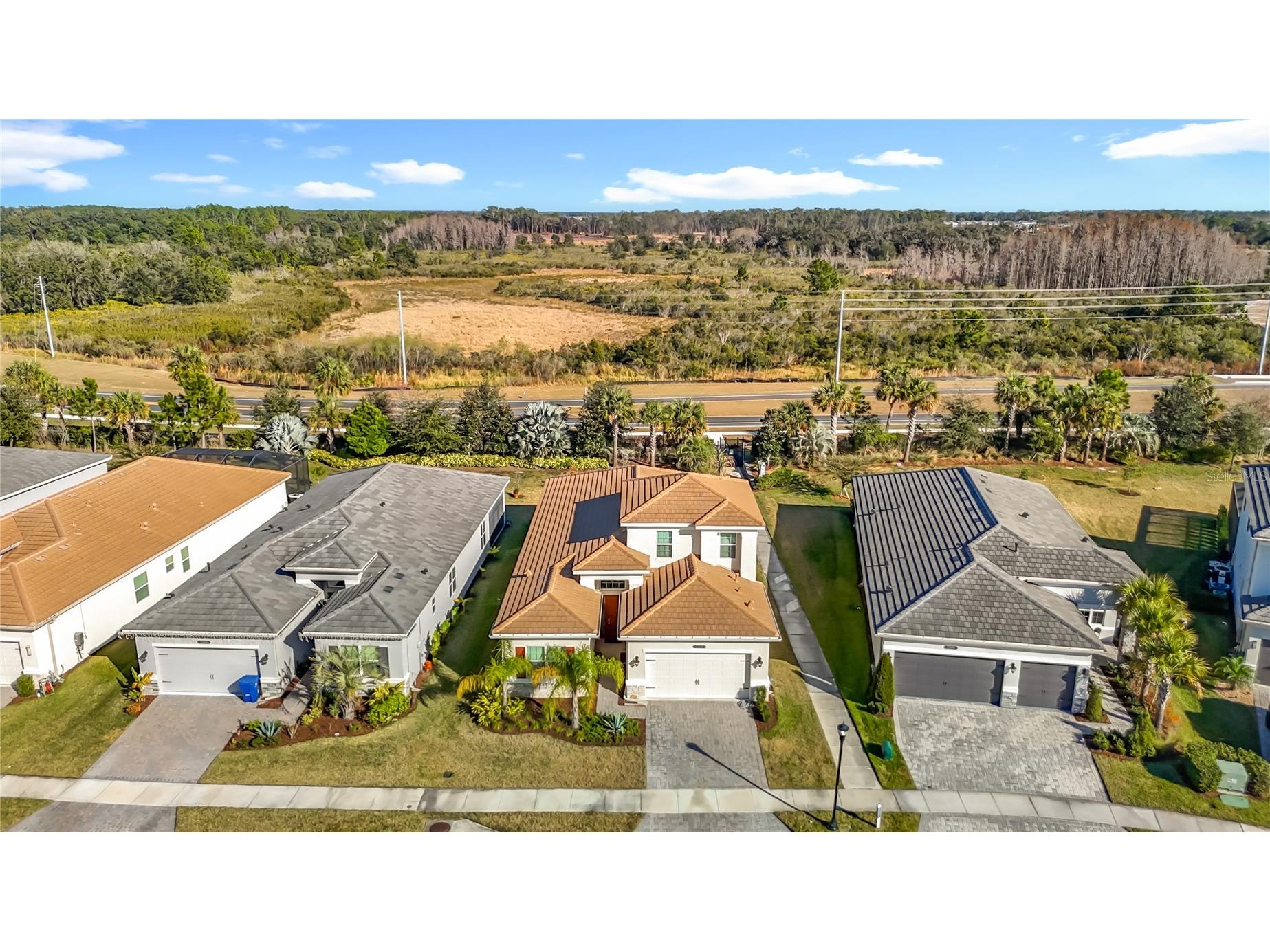 32676 Tree Of Life Avenue Wesley Chapel FL 33543 TB8469330 image7