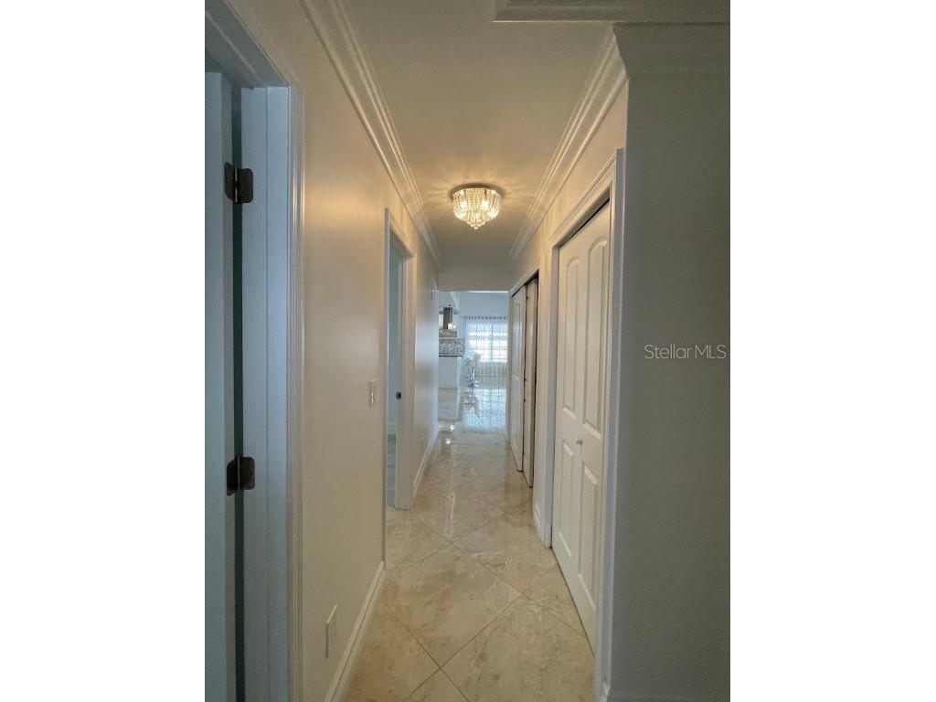 3268 Buckhorn Drive Clearwater FL 33761 TB8454858 image10