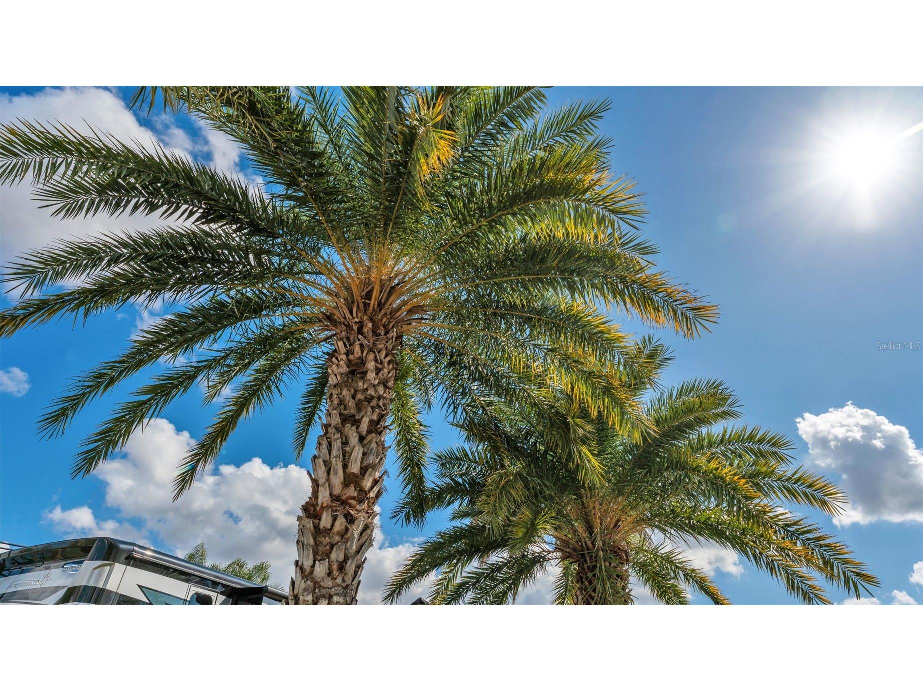 3268 Fish Hawk Drive Polk City FL 33868 L4959054 image9