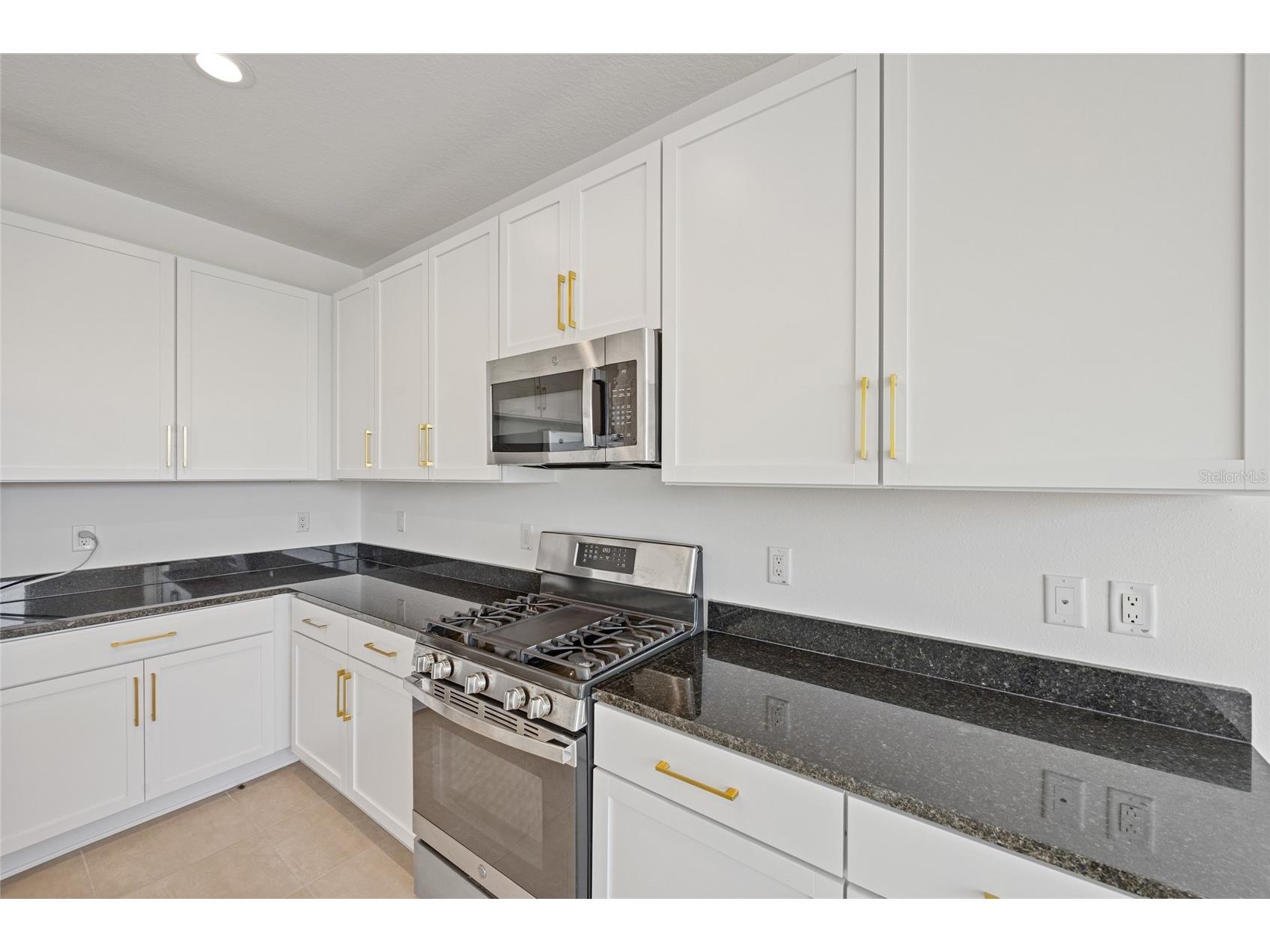 32684 Tamarind Grove Lane Wesley Chapel FL 33543 TB8516509 image14