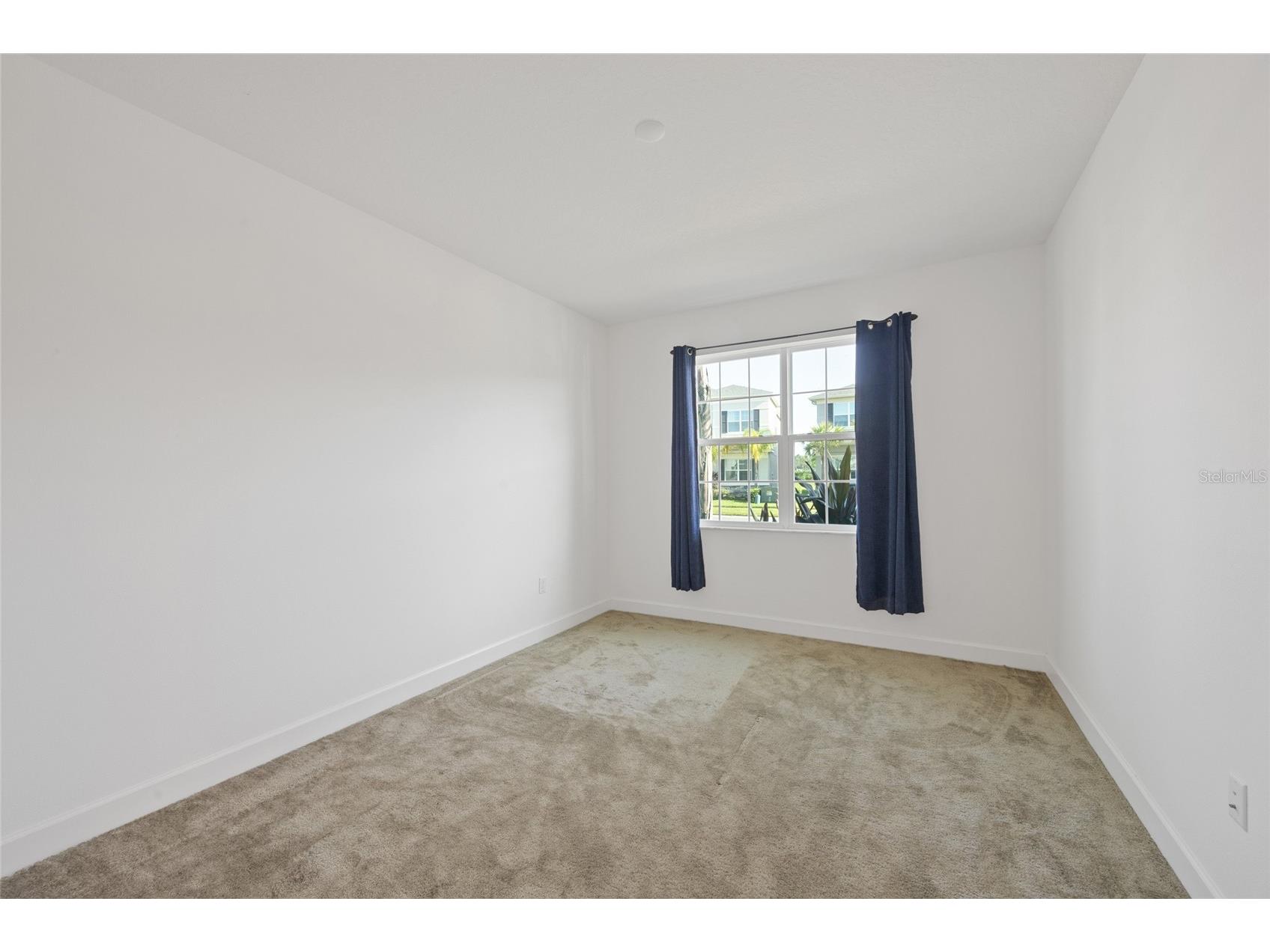 32684 Tamarind Grove Lane Wesley Chapel FL 33543 TB8516509 image15