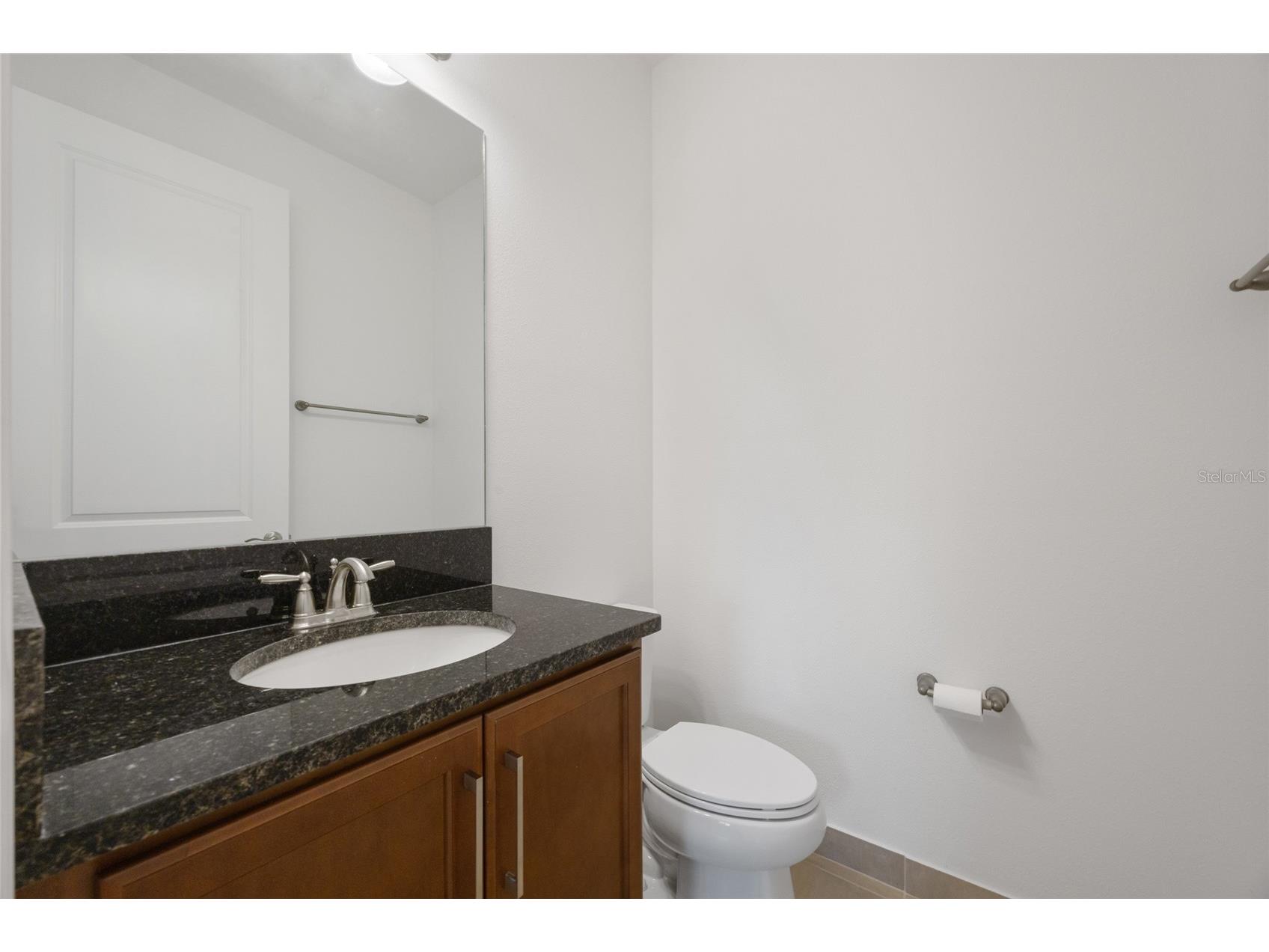 32684 Tamarind Grove Lane Wesley Chapel FL 33543 TB8516509 image17