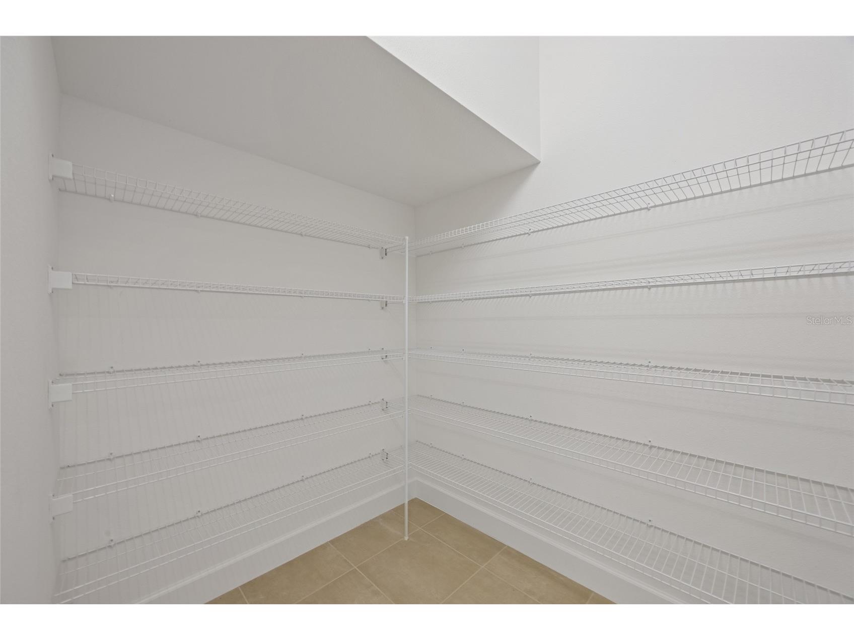 32684 Tamarind Grove Lane Wesley Chapel FL 33543 TB8516509 image18