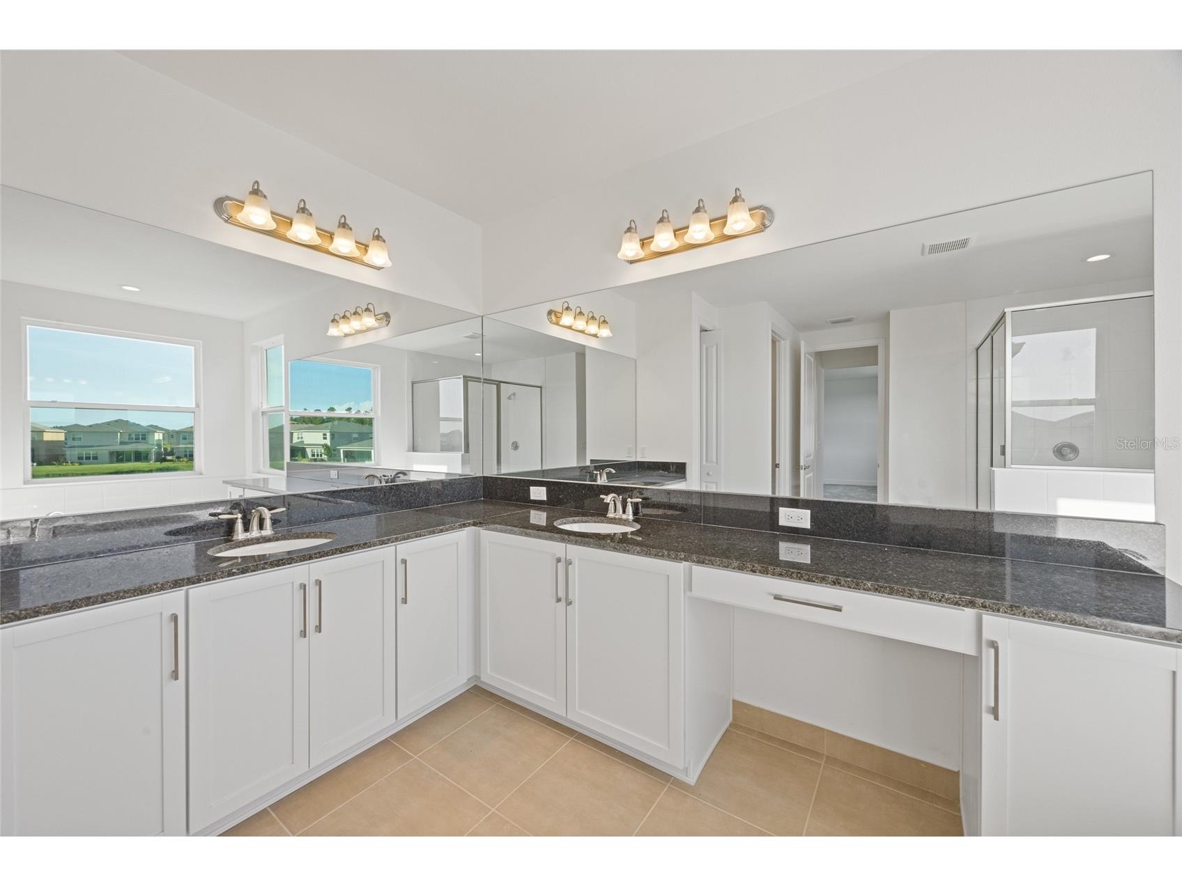 32684 Tamarind Grove Lane Wesley Chapel FL 33543 TB8516509 image29