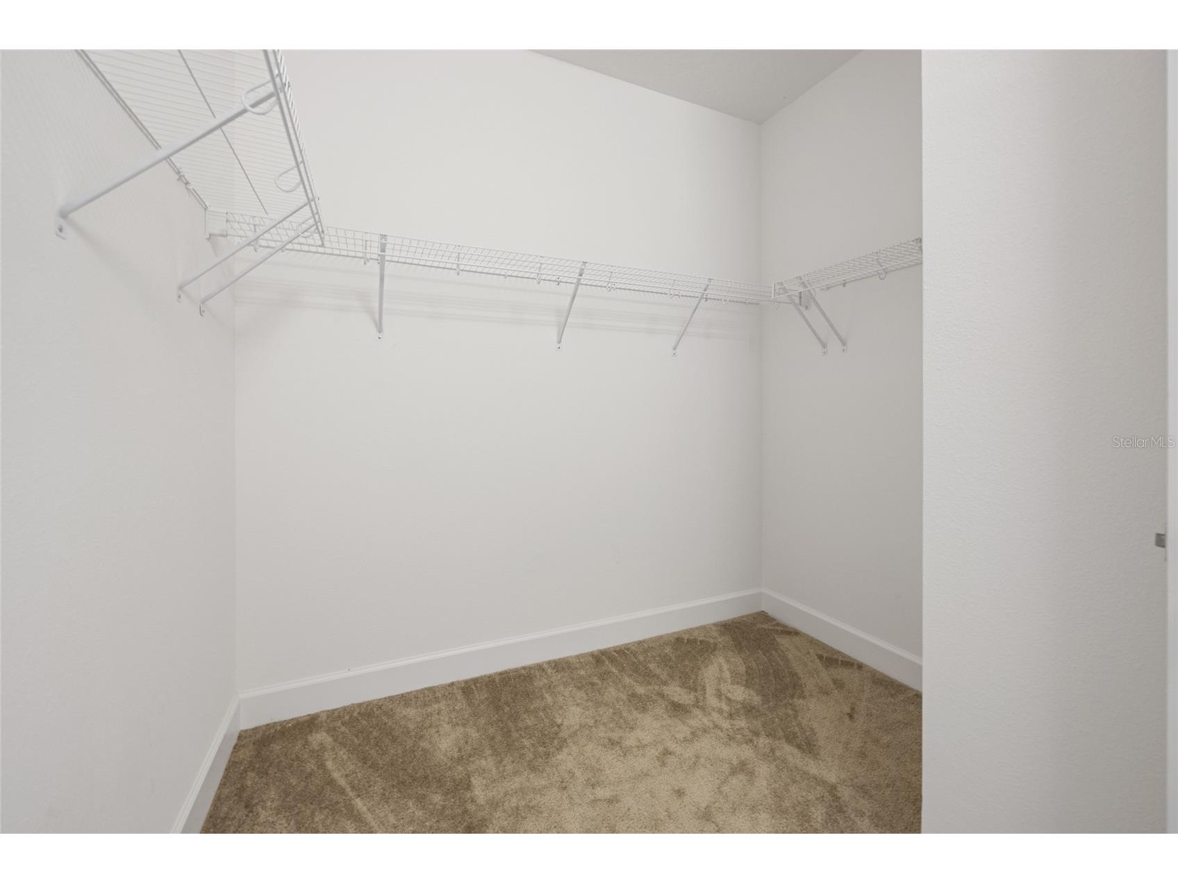 32684 Tamarind Grove Lane Wesley Chapel FL 33543 TB8516509 image31