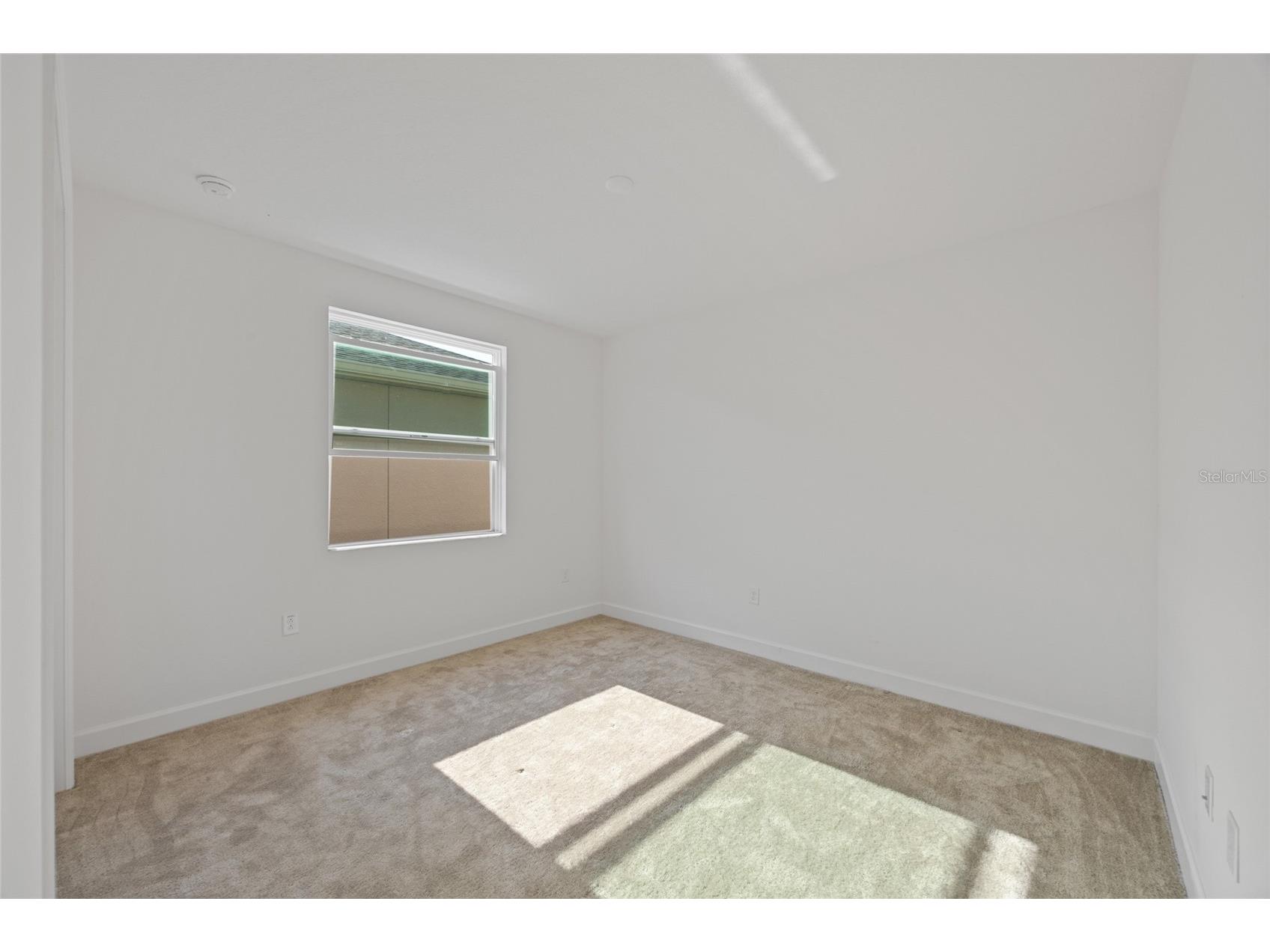 32684 Tamarind Grove Lane Wesley Chapel FL 33543 TB8516509 image32