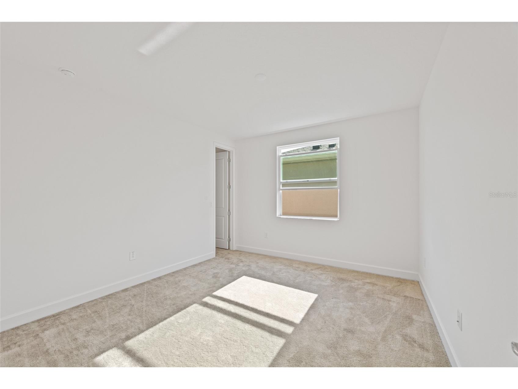 32684 Tamarind Grove Lane Wesley Chapel FL 33543 TB8516509 image34