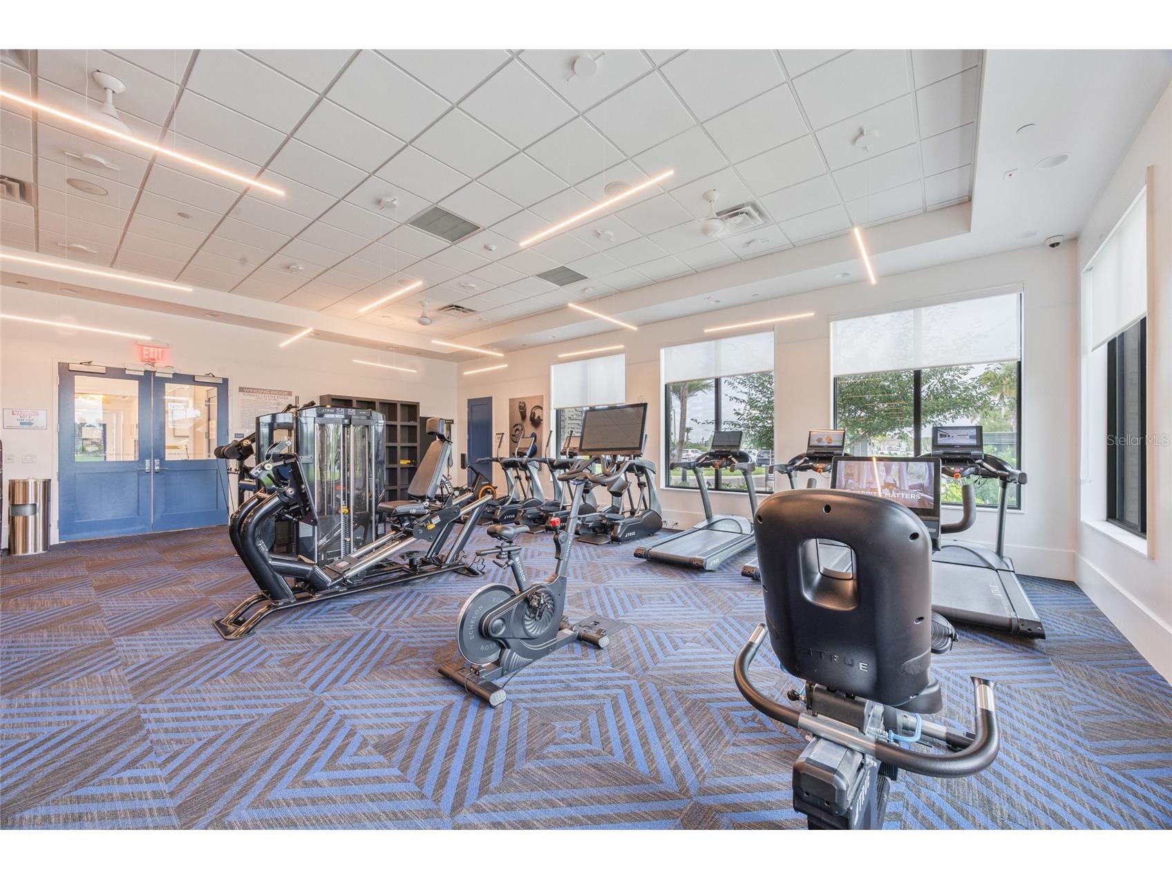 32684 Tamarind Grove Lane Wesley Chapel FL 33543 TB8516509 image49