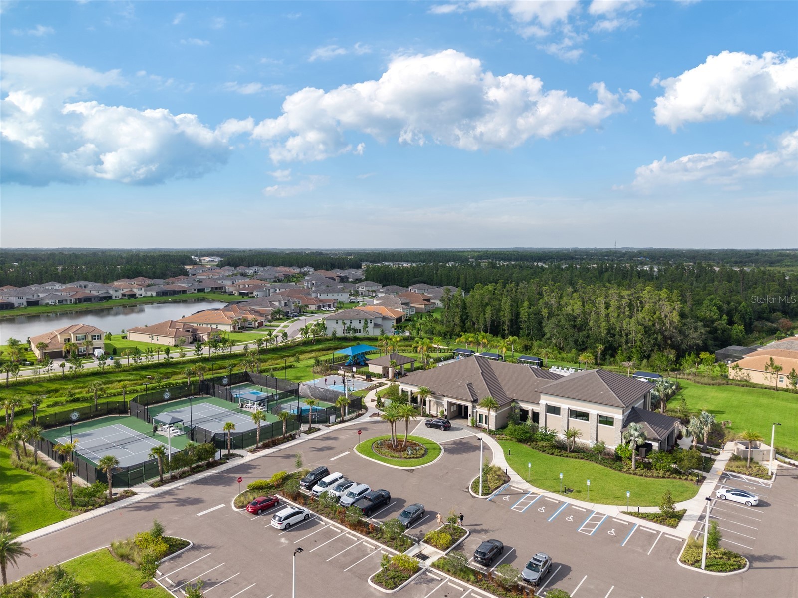 32684 Tamarind Grove Lane Wesley Chapel FL 33543 TB8516509 image53