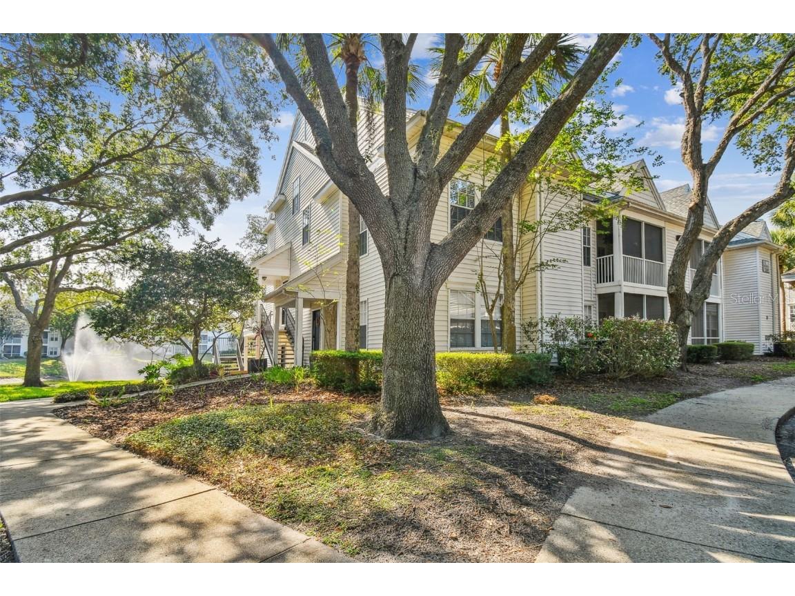3269 Haviland Court #201 Palm Harbor FL 34684 U8204585 image1
