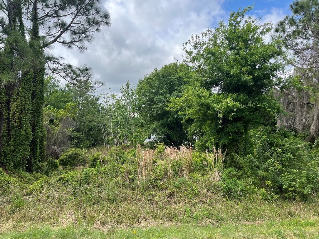 3269 NW 19th Avenue Okeechobee FL 34972 OK223821 image1