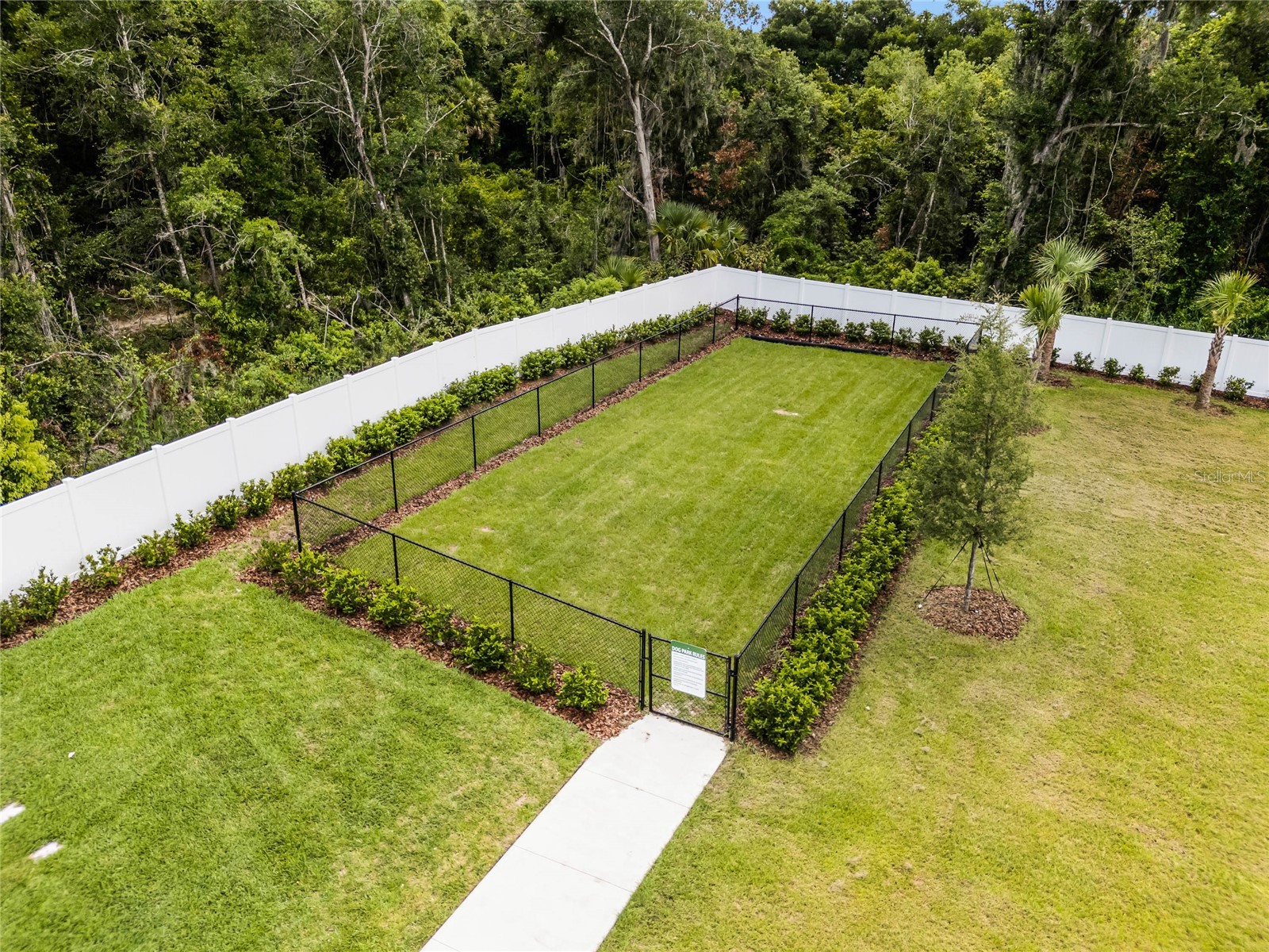 3269 Wye Oak Drive Apopka FL 32703 O6409448 image23