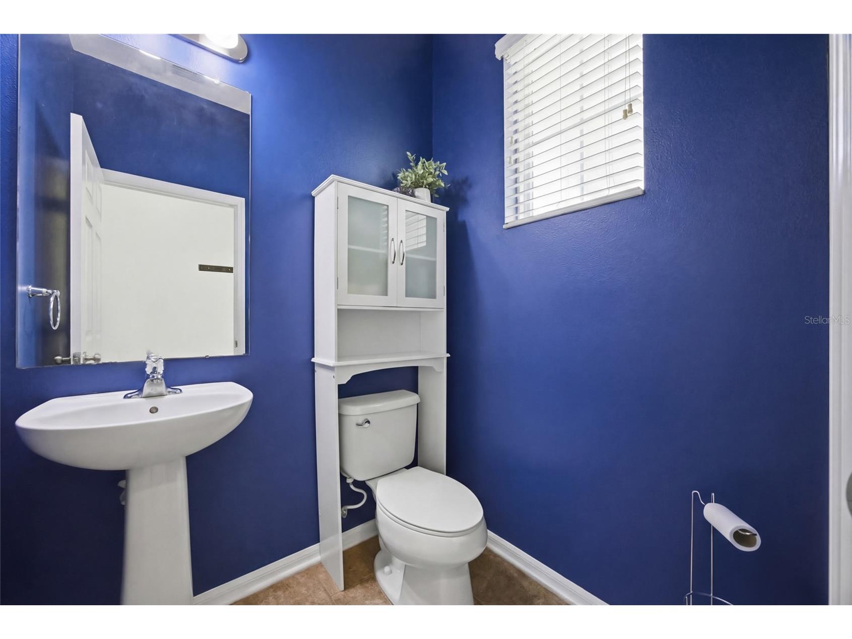 32692 Windelstraw Drive Wesley Chapel FL 33545 TB8485939 image11