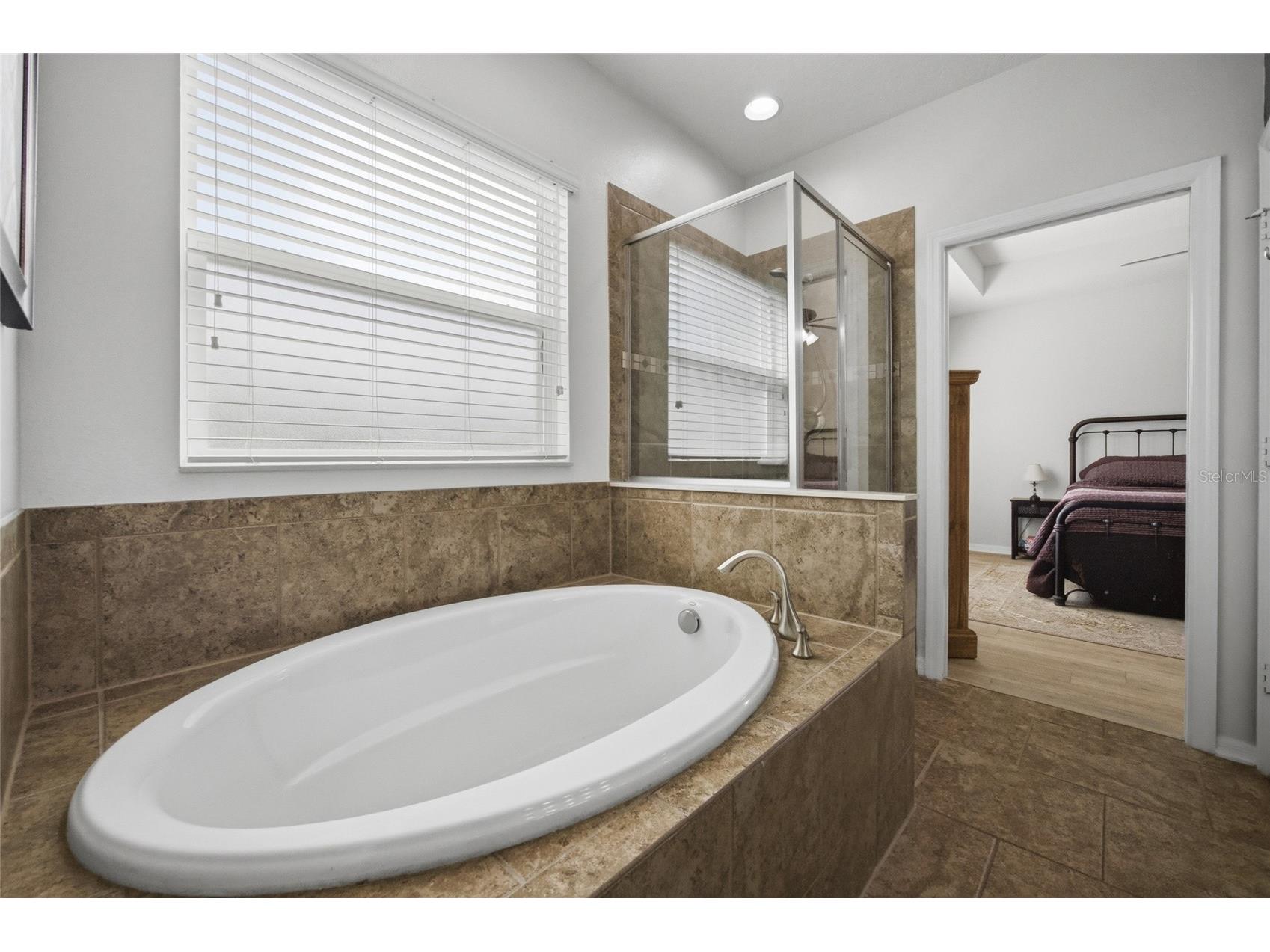 32692 Windelstraw Drive Wesley Chapel FL 33545 TB8485939 image15