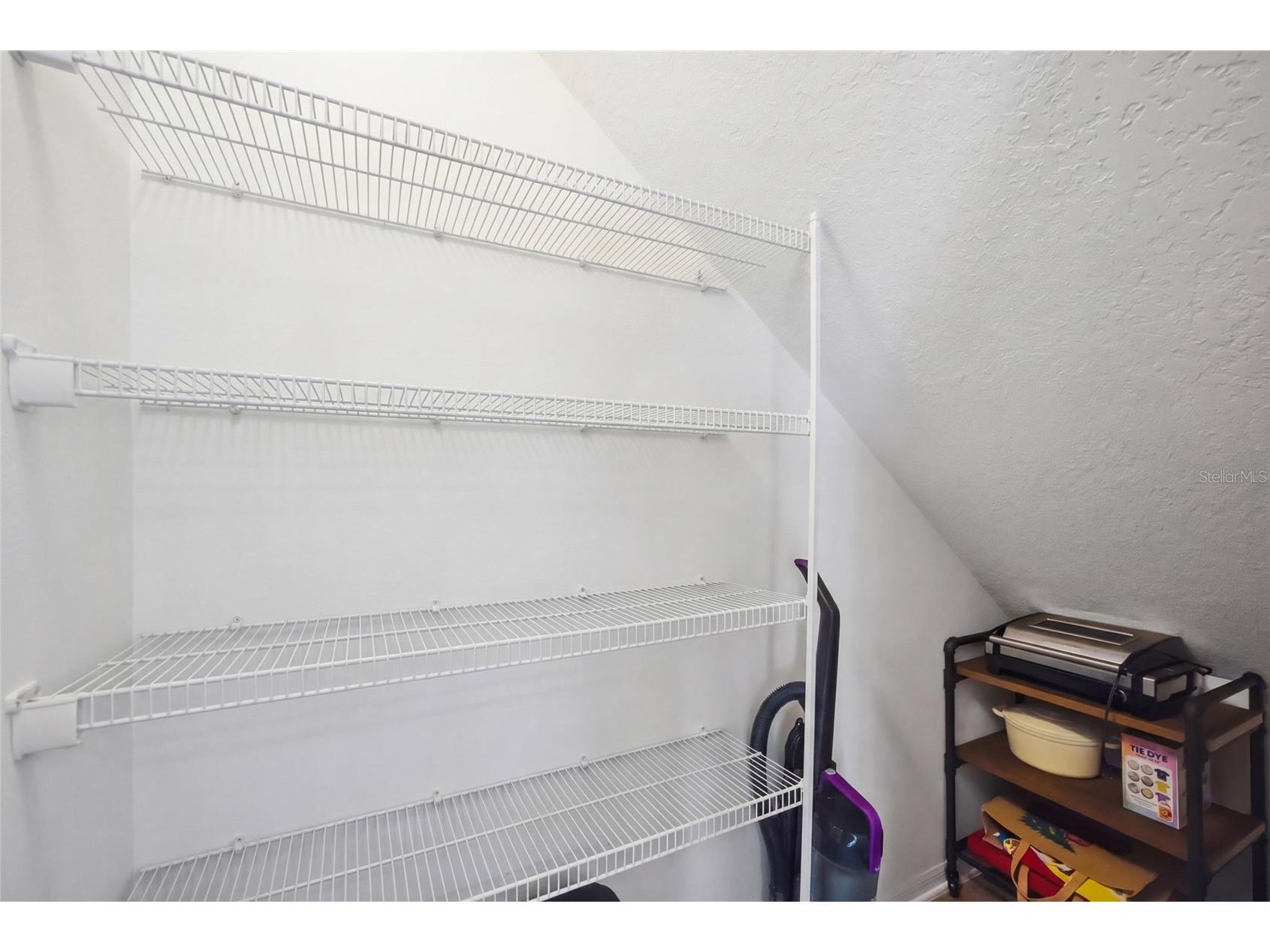 32692 Windelstraw Drive Wesley Chapel FL 33545 TB8485939 image9