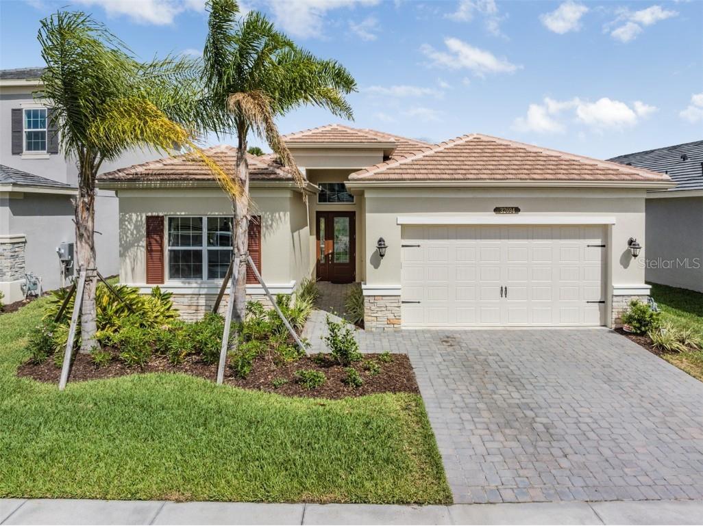 32694 Tree Of Life Avenue Wesley Chapel FL 33543 T3439102 image1
