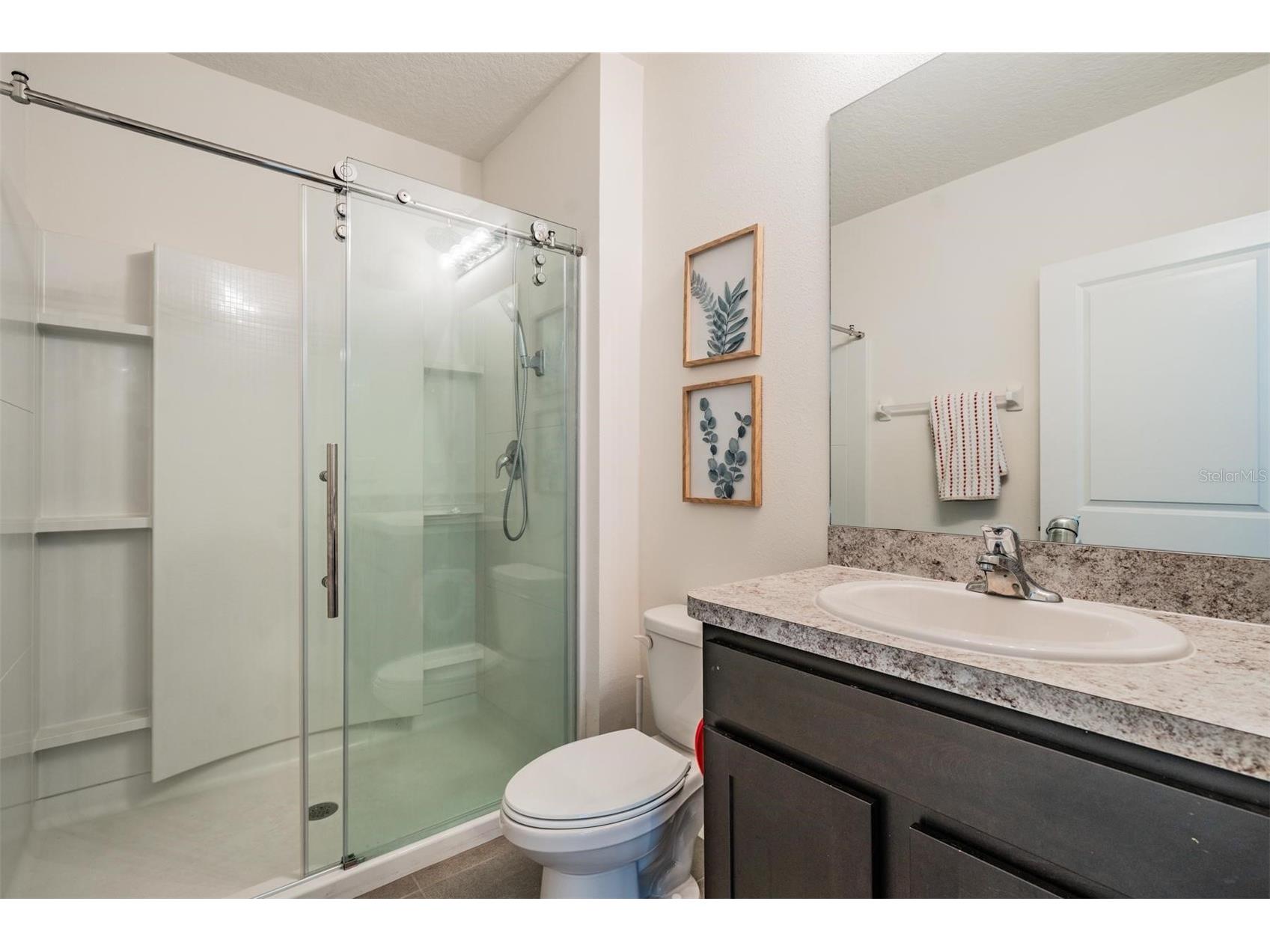 32699 Dashel Palm Lane Wesley Chapel FL 33543 TB8487642 image19