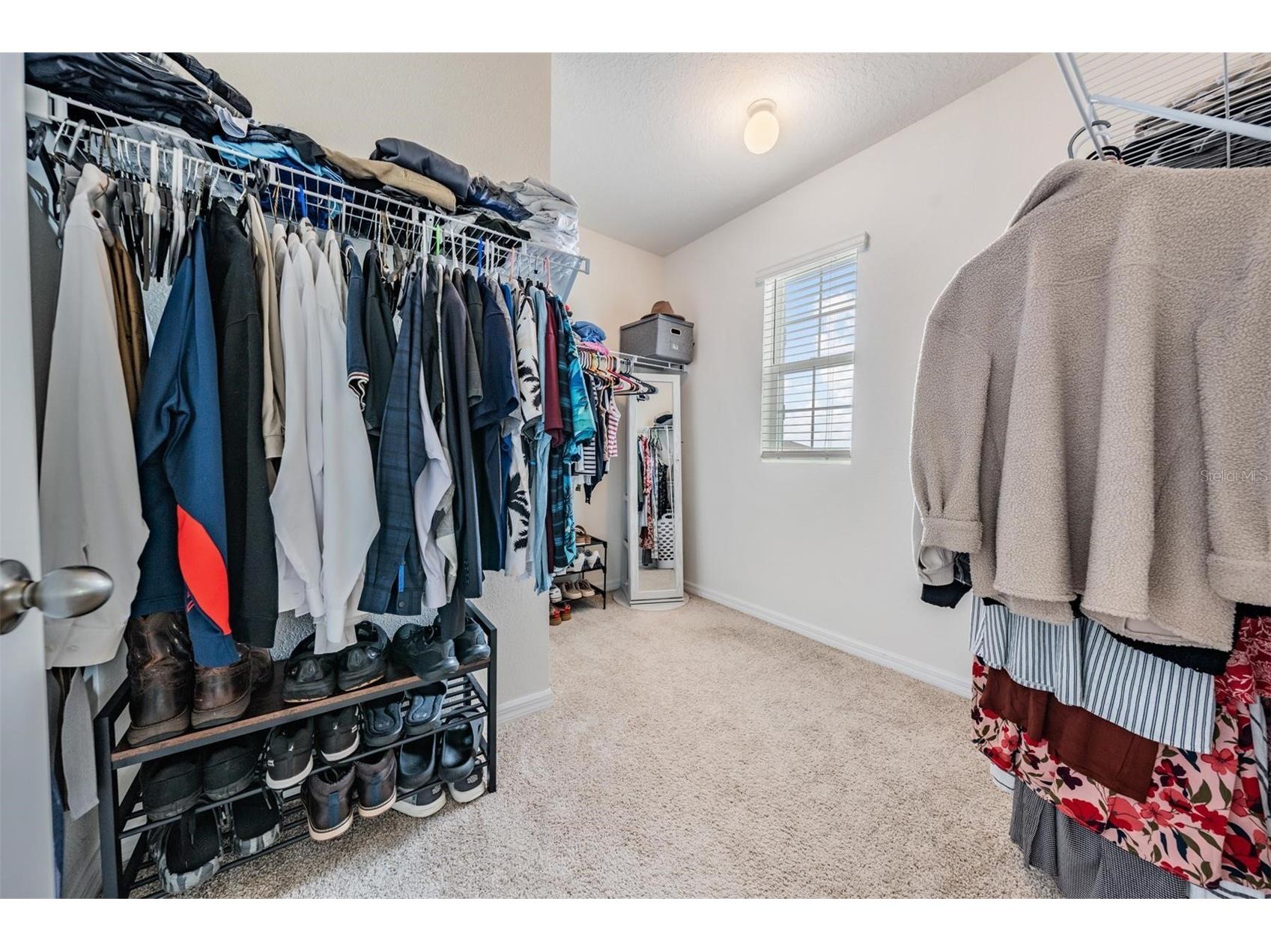 32699 Dashel Palm Lane Wesley Chapel FL 33543 TB8487642 image28