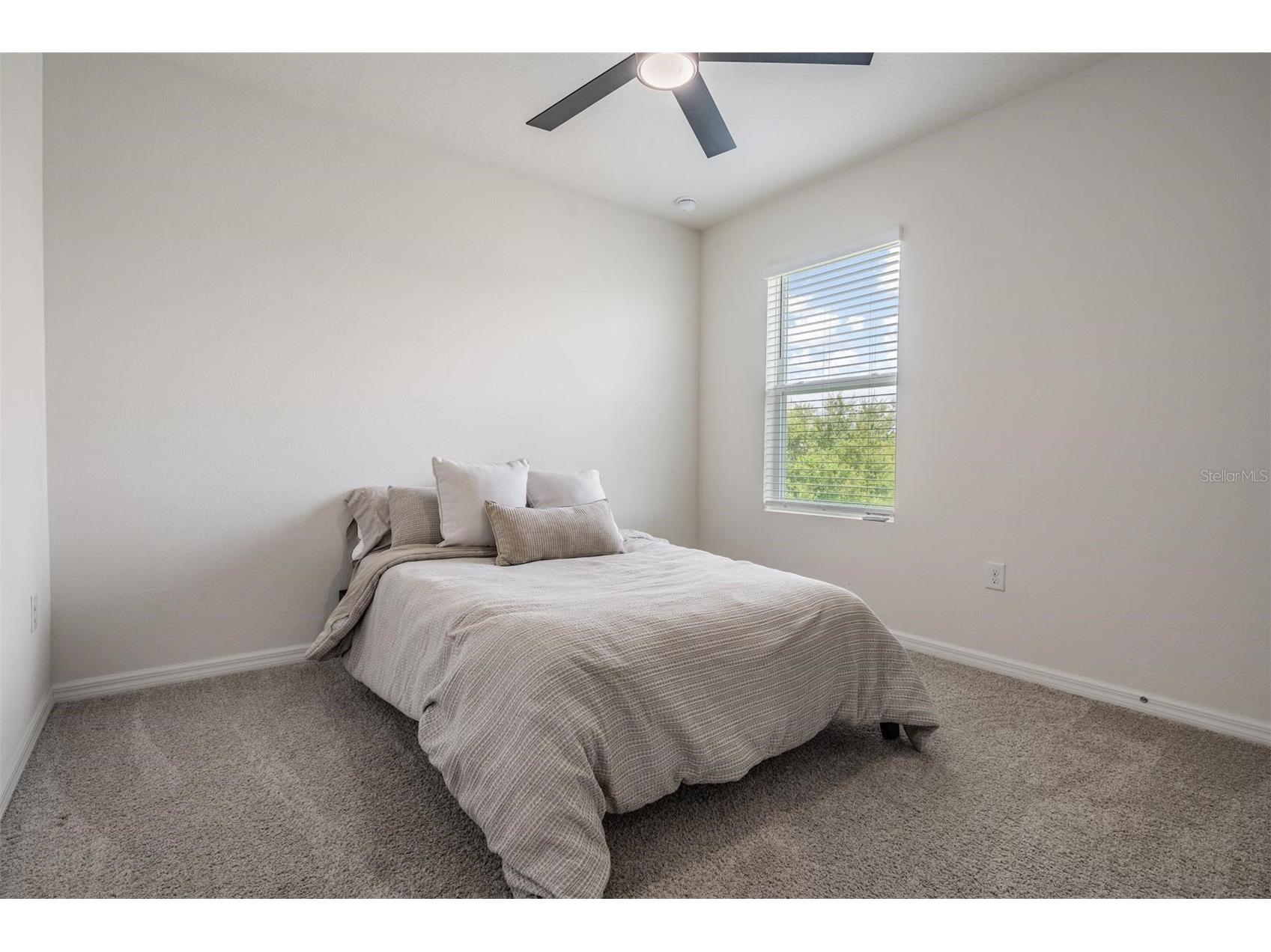 32699 Dashel Palm Lane Wesley Chapel FL 33543 TB8487642 image32