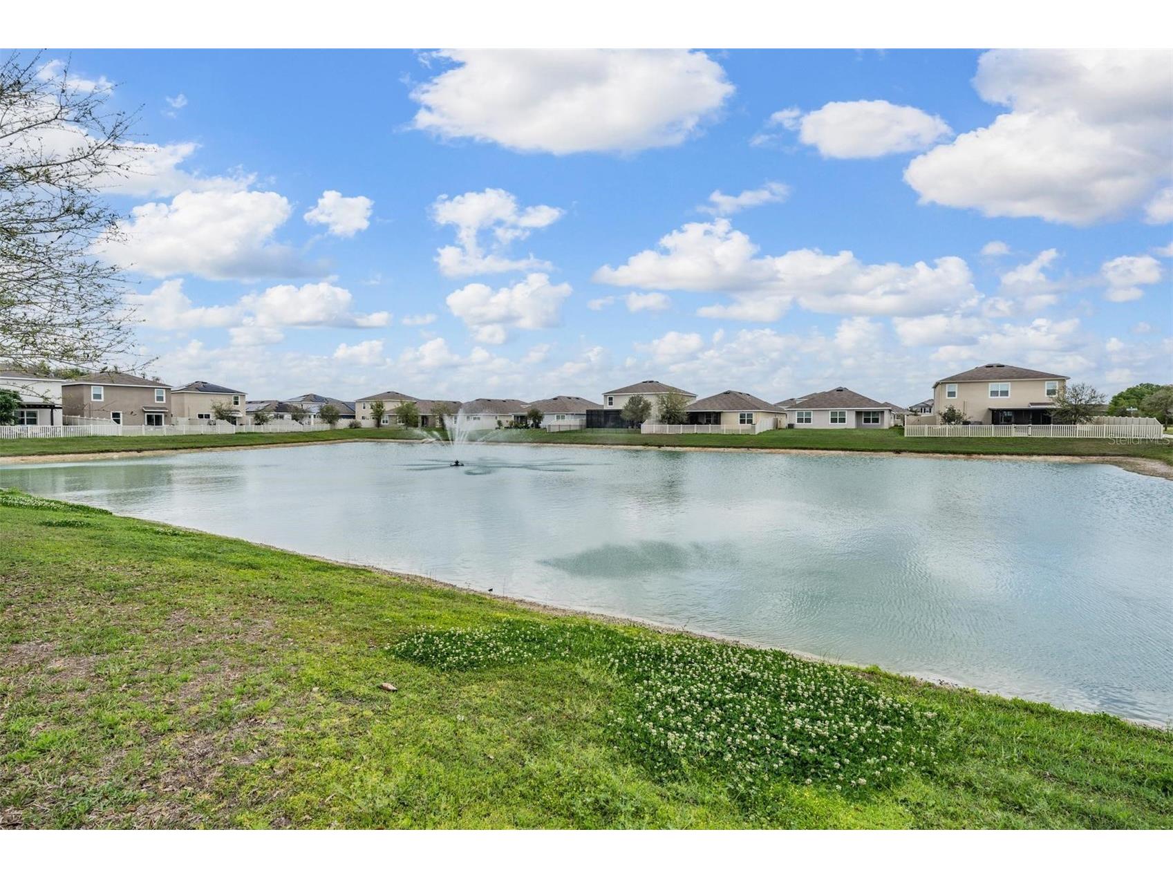 32699 Dashel Palm Lane Wesley Chapel FL 33543 TB8487642 image36