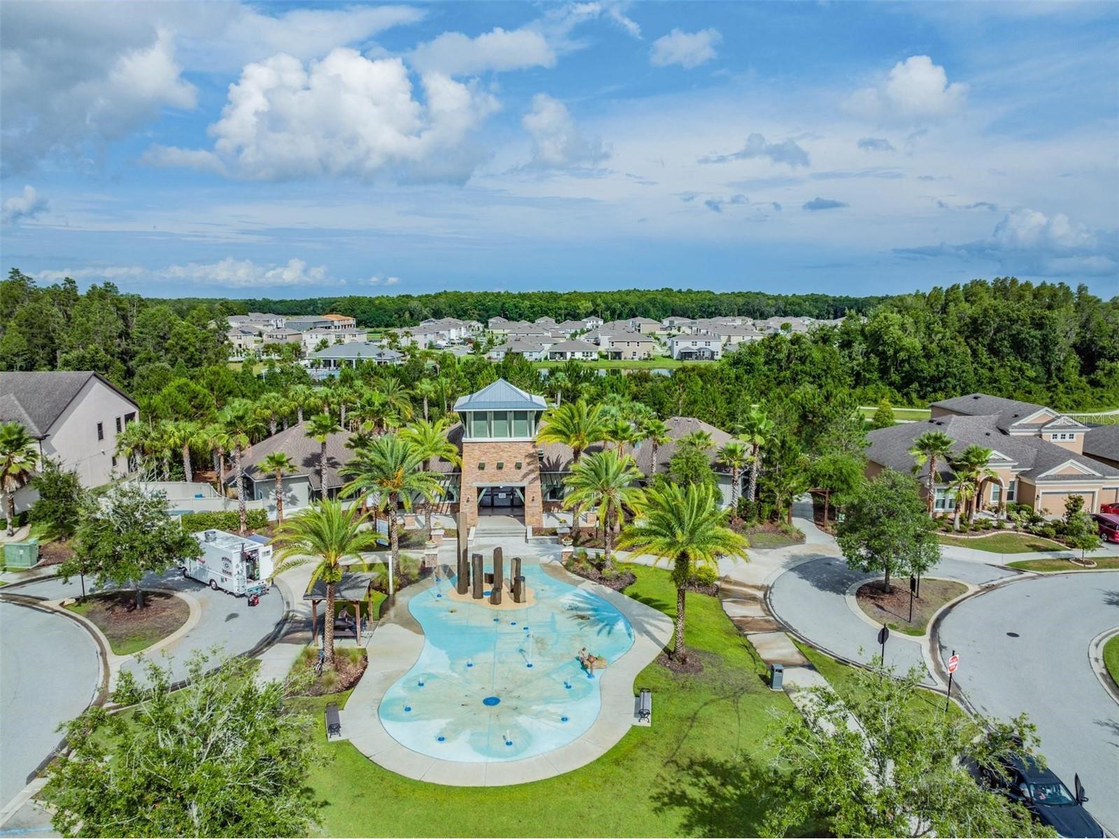 32699 Dashel Palm Lane Wesley Chapel FL 33543 TB8487642 image41