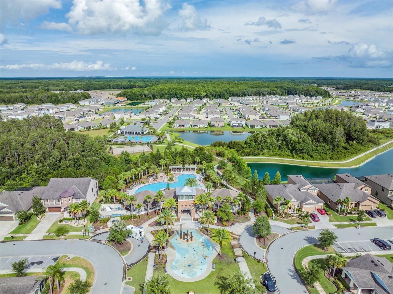 32699 Dashel Palm Lane Wesley Chapel FL 33543 TB8487642 image42