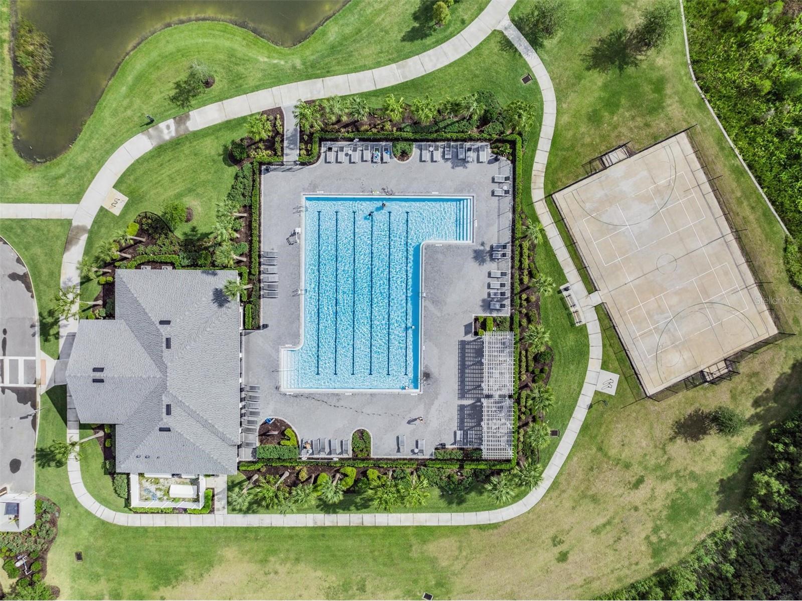 32699 Dashel Palm Lane Wesley Chapel FL 33543 TB8487642 image45