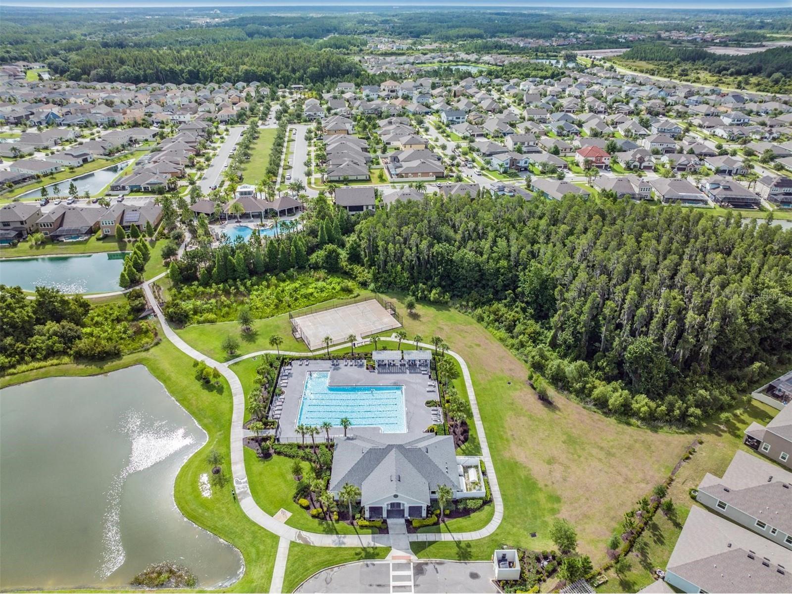 32699 Dashel Palm Lane Wesley Chapel FL 33543 TB8487642 image46