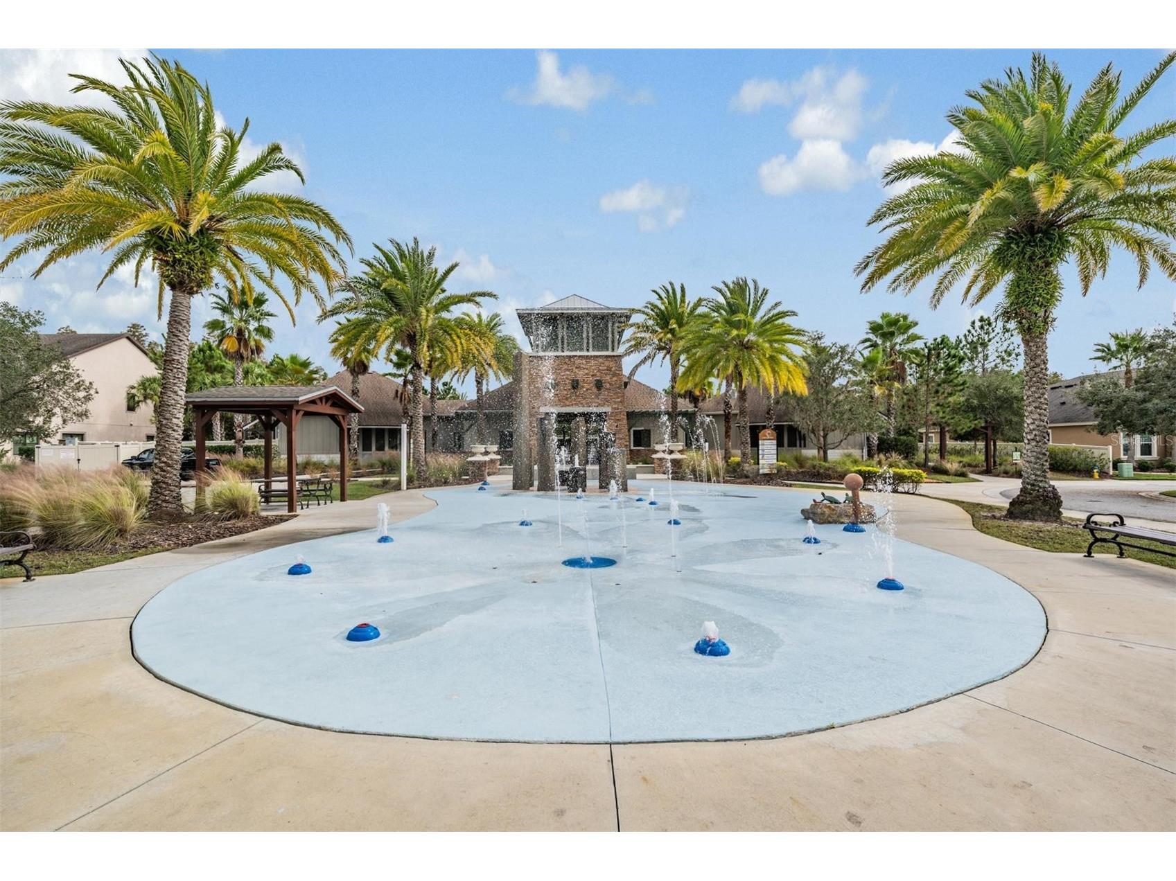 32699 Dashel Palm Lane Wesley Chapel FL 33543 TB8487642 image47