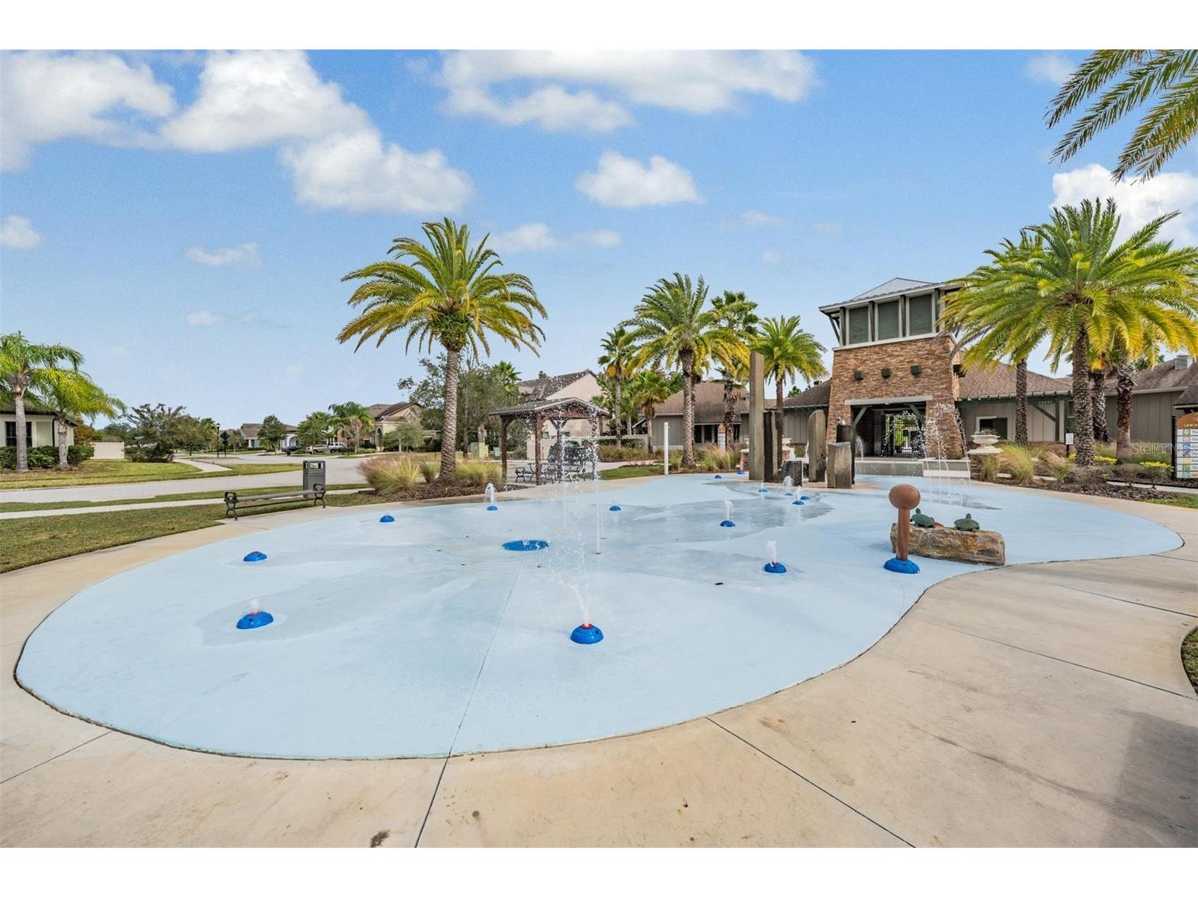 32699 Dashel Palm Lane Wesley Chapel FL 33543 TB8487642 image48