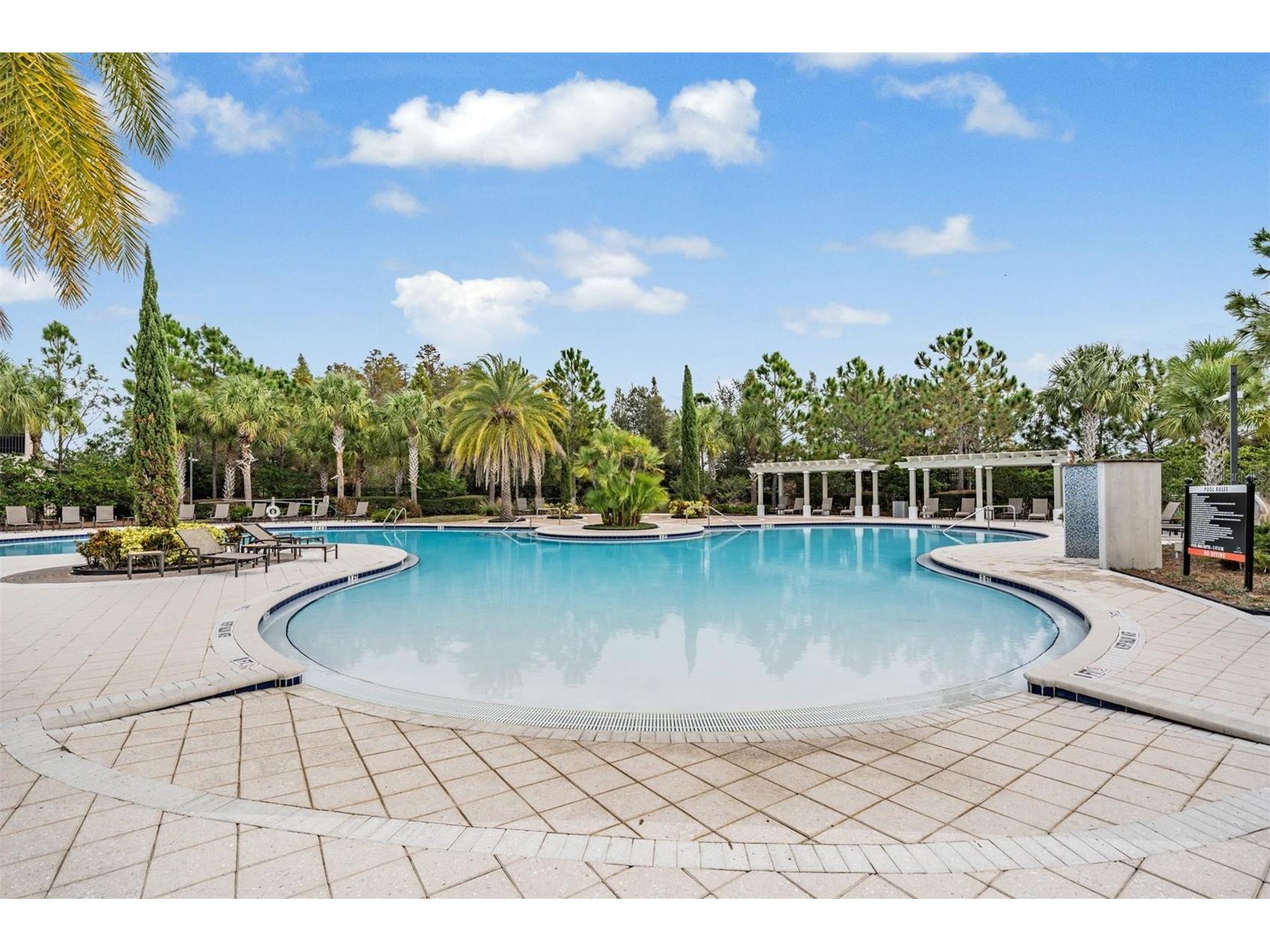 32699 Dashel Palm Lane Wesley Chapel FL 33543 TB8487642 image51