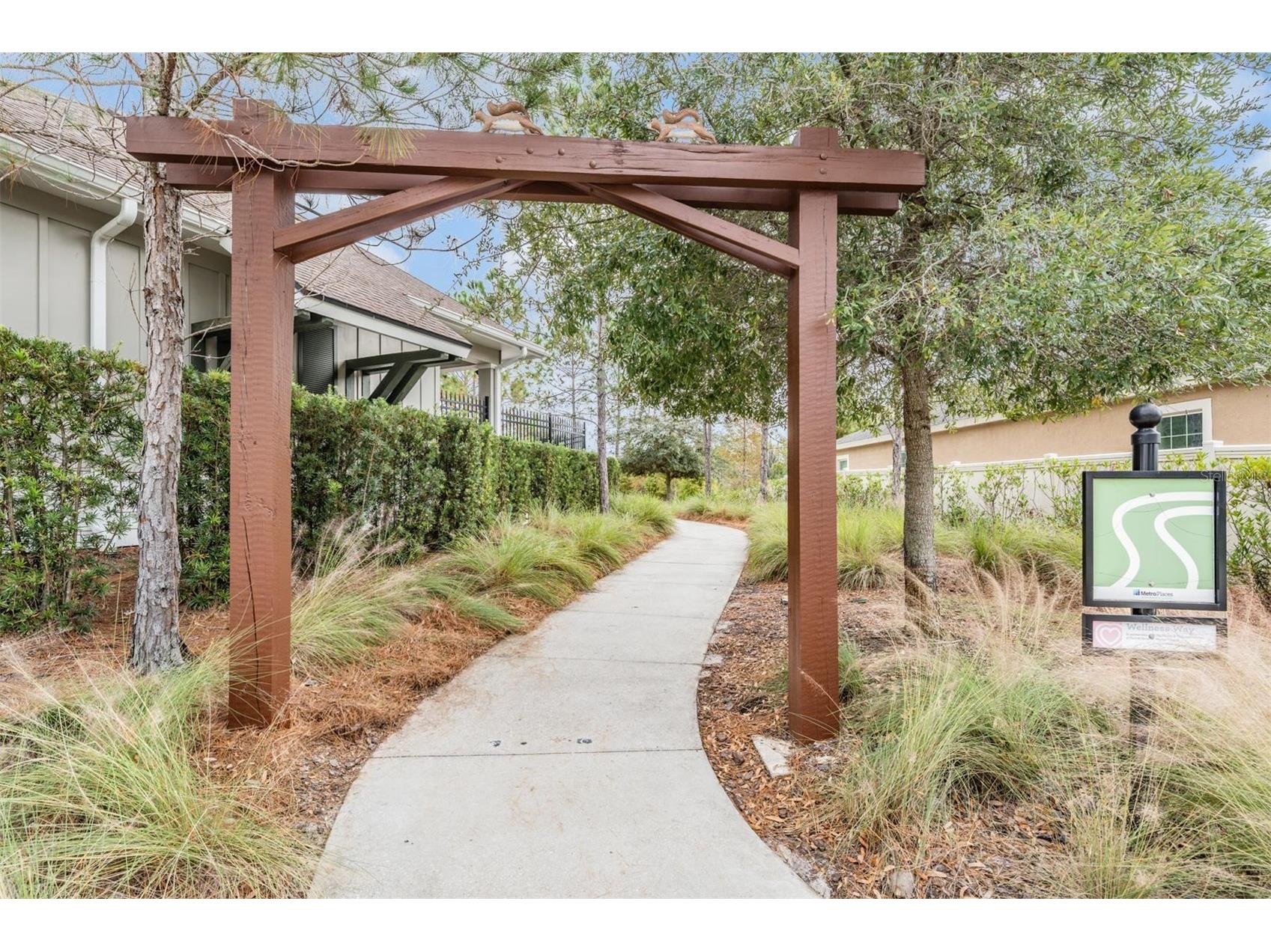 32699 Dashel Palm Lane Wesley Chapel FL 33543 TB8487642 image54