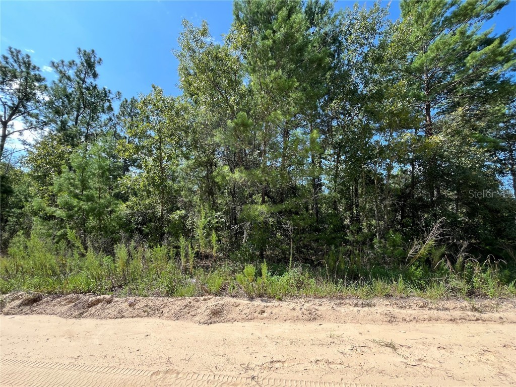 327 & 329 Shangri-La Street Interlachen FL 32148 OK224286 image1