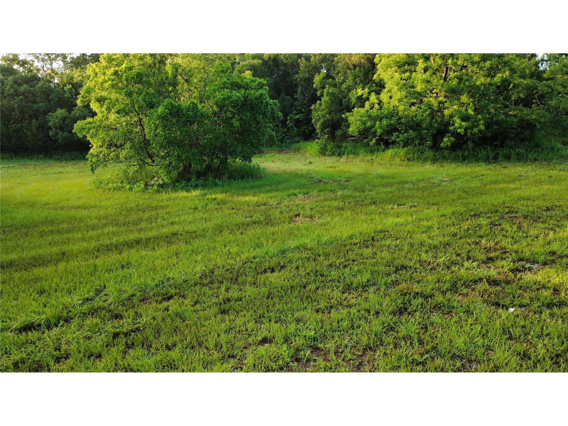 327 Beaverbrook Lane Oak Hill FL 32759 O6385341 image1