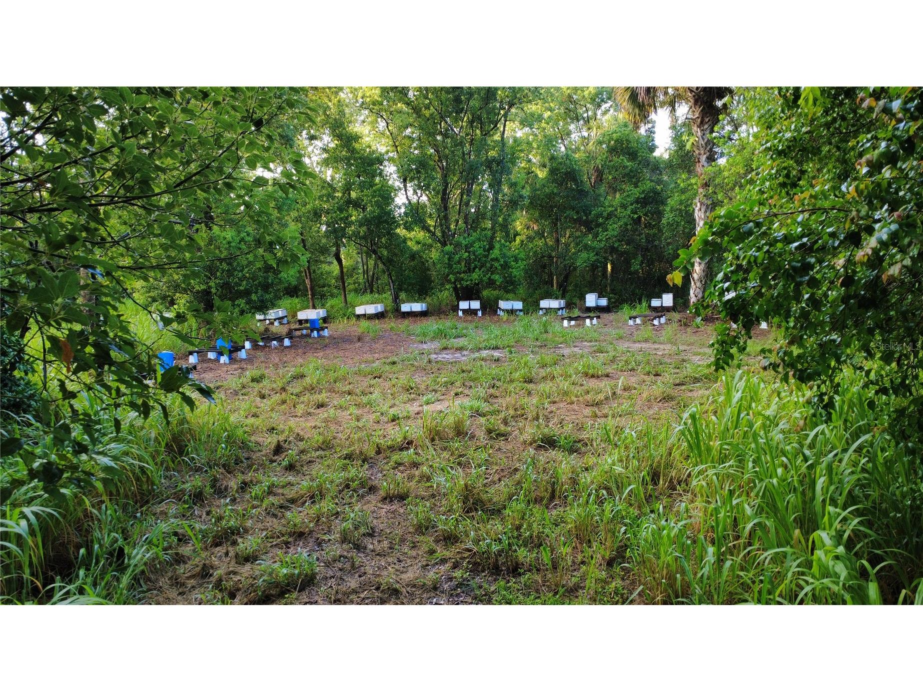 327 Beaverbrook Lane Oak Hill FL 32759 O6385341 image10