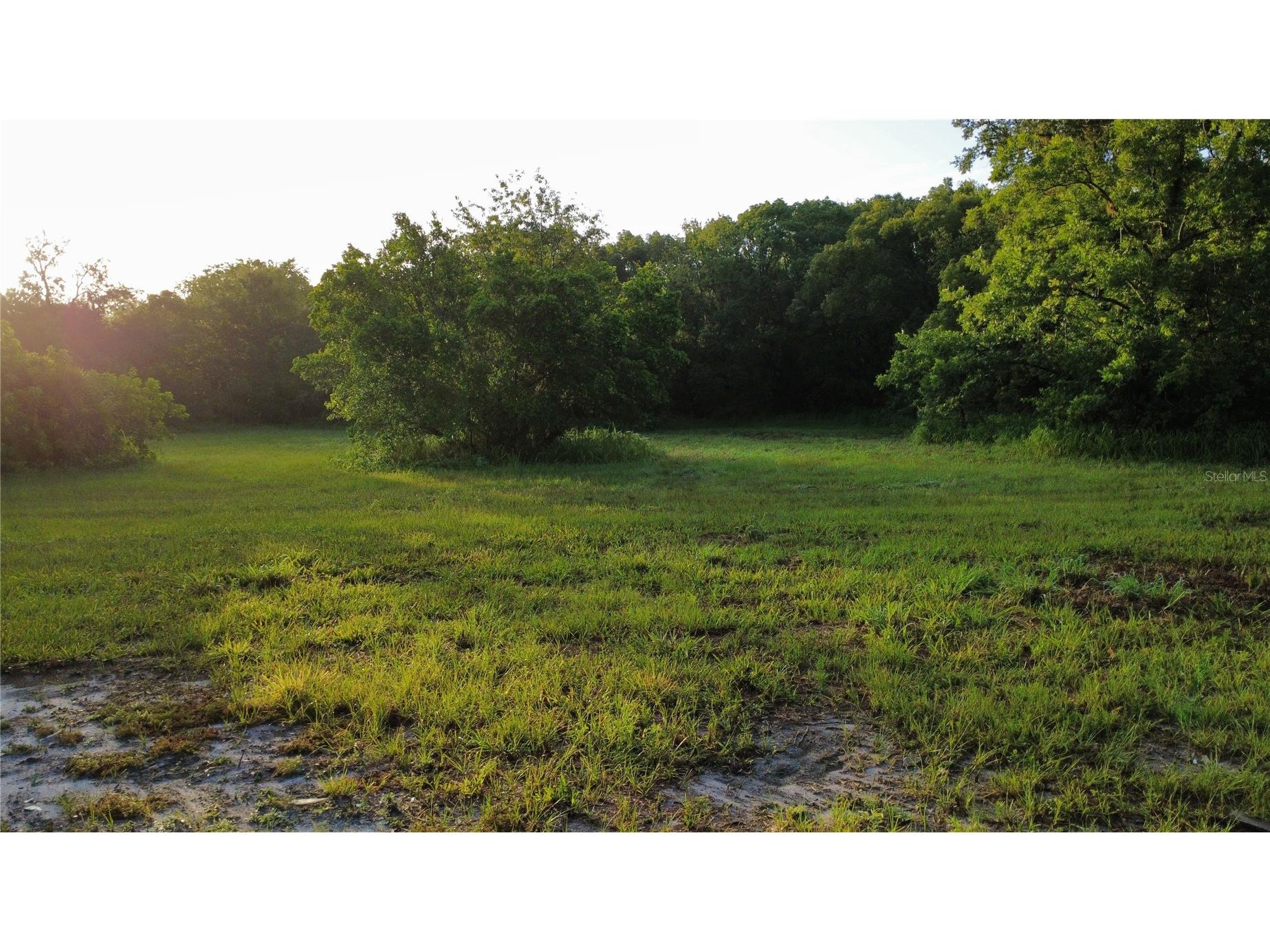 327 Beaverbrook Lane Oak Hill FL 32759 O6385341 image4