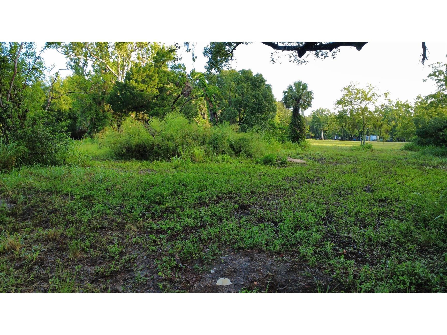 327 Beaverbrook Lane Oak Hill FL 32759 O6385341 image5