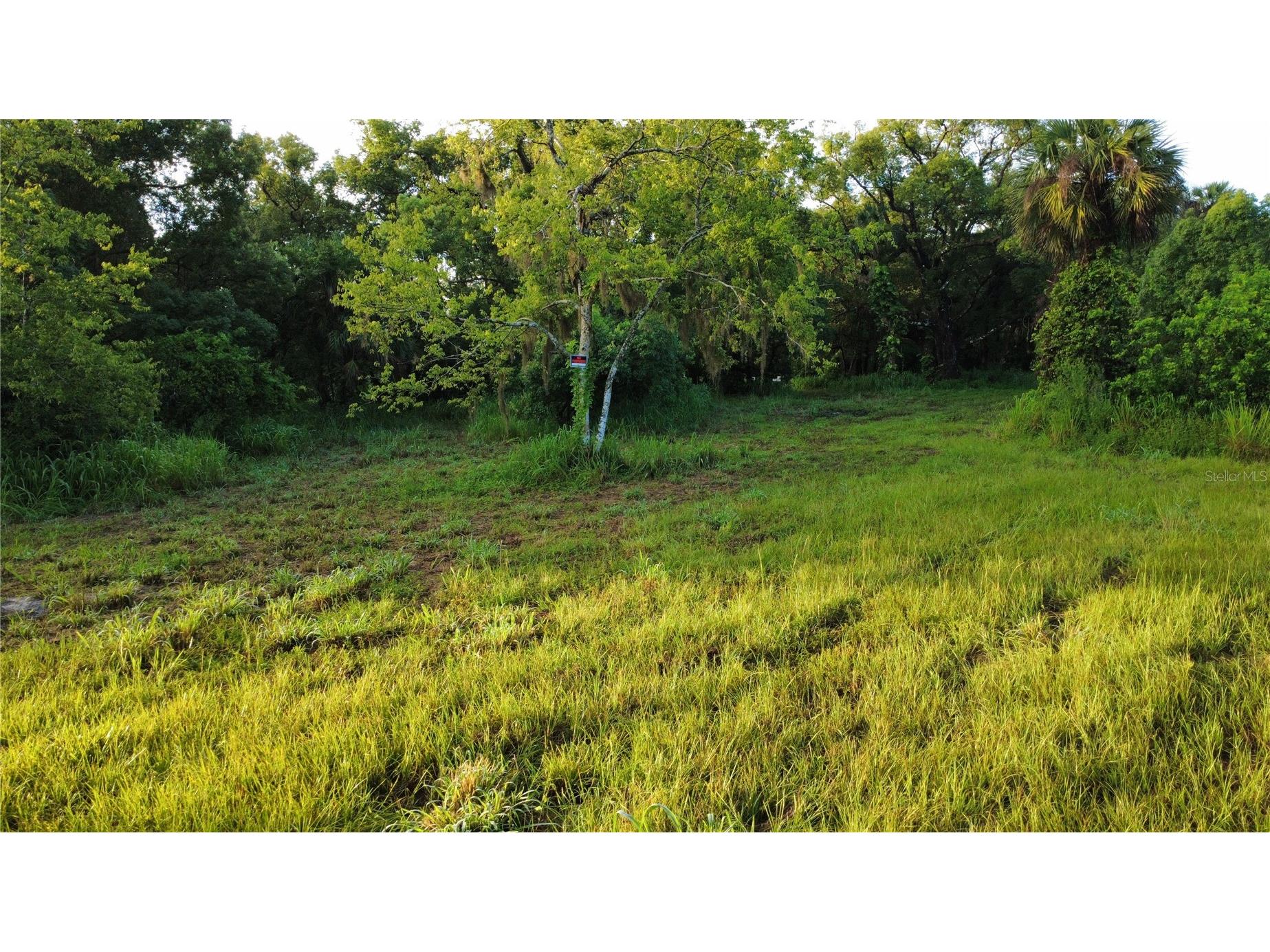 327 Beaverbrook Lane Oak Hill FL 32759 O6385341 image7