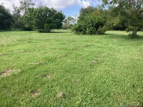 327 Beaverbrook Oak Hill FL 32759 NS1077036 image1