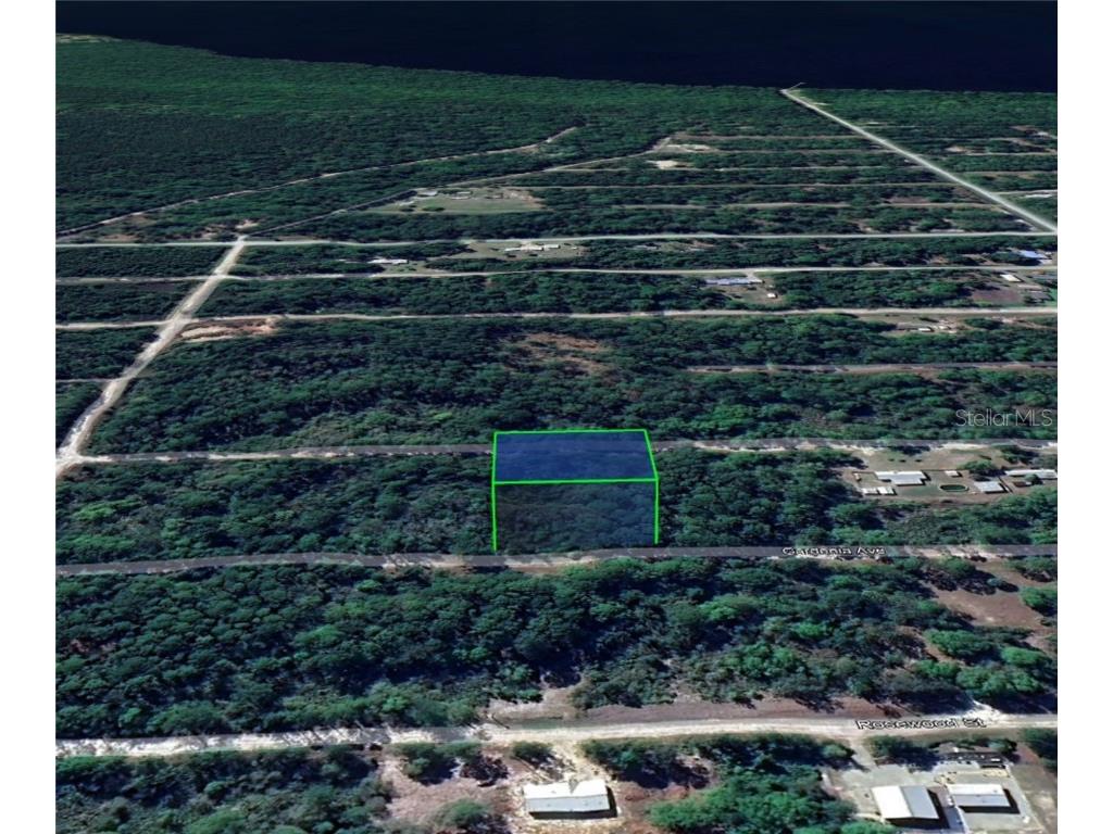 327 Gardenia Avenue Georgetown FL 32139 O6180748 image1