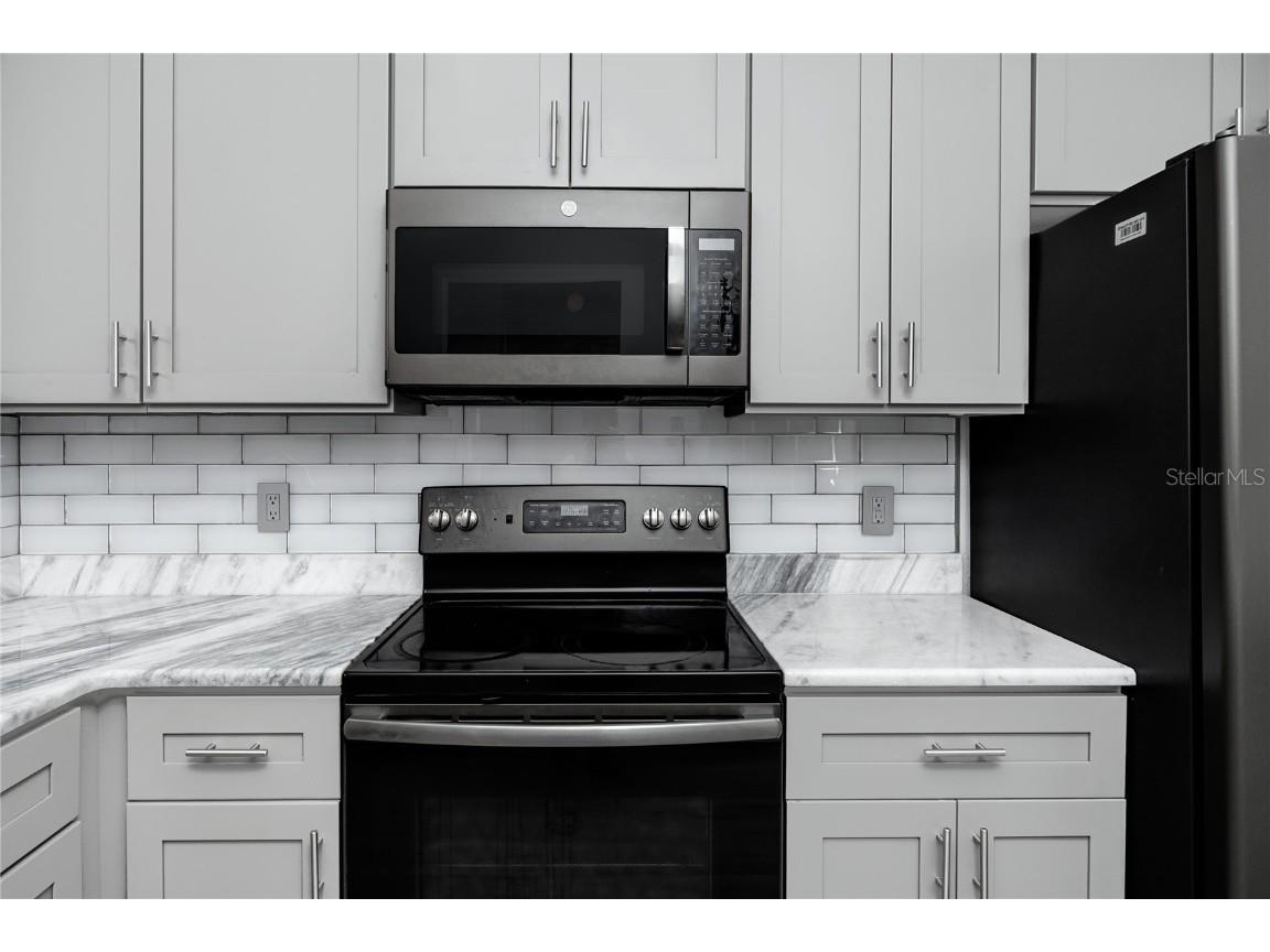 327 Phlox Drive Palm Harbor FL 34684 TB8442785 image21