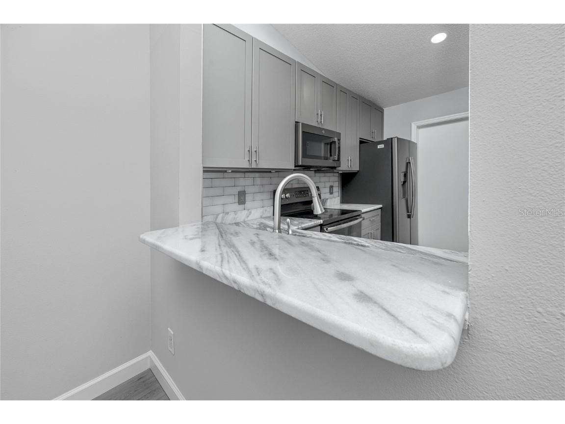 327 Phlox Drive Palm Harbor FL 34684 TB8442785 image24