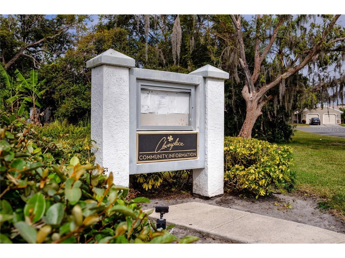 327 Phlox Drive Palm Harbor FL 34684 TB8442785 image28