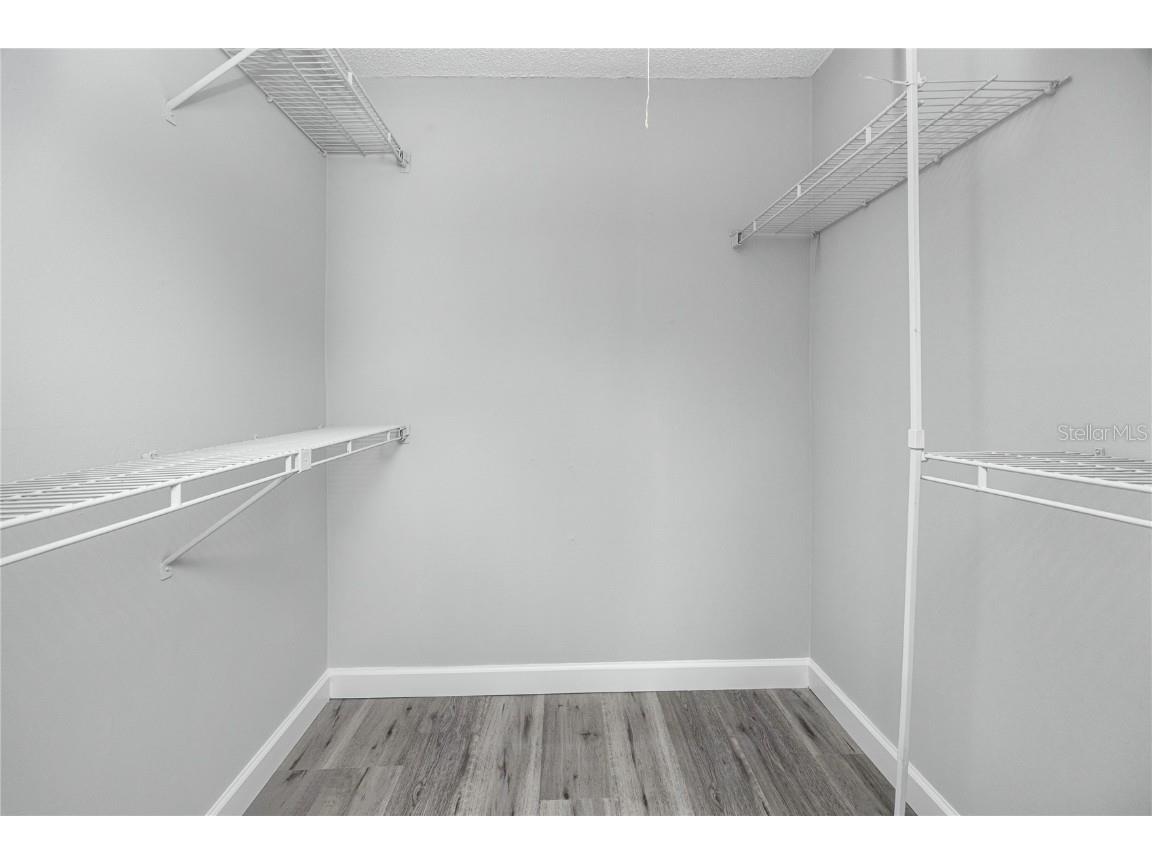 327 Phlox Drive Palm Harbor FL 34684 TB8442785 image8