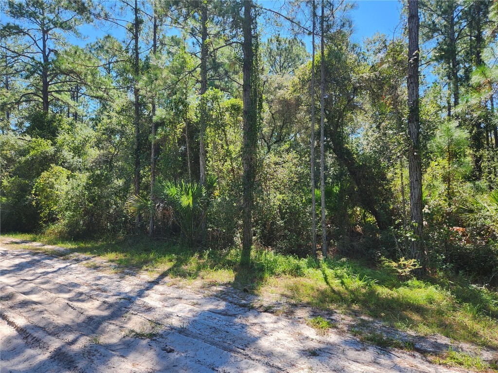 327 Rosewood Street Georgetown FL 32139 FC294907 image1