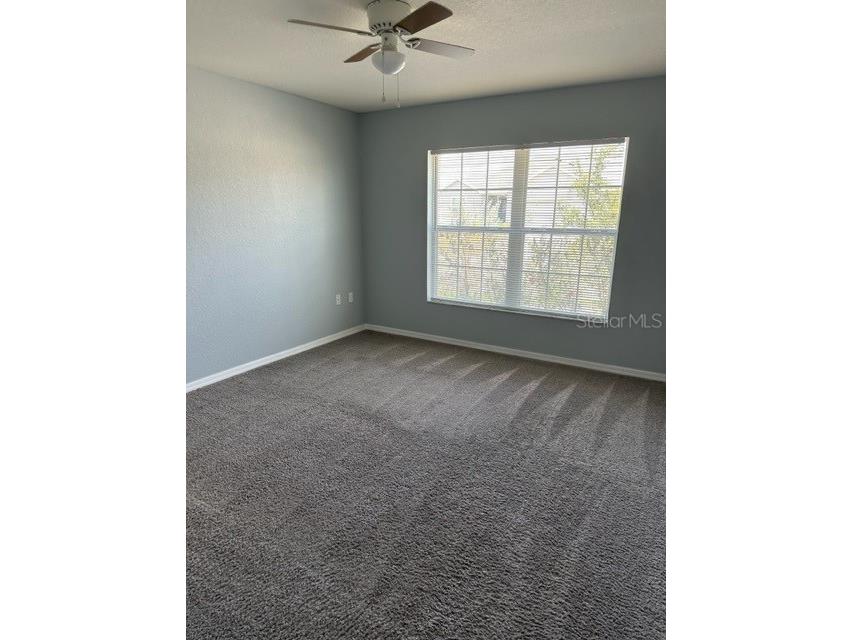 327 Tanager Street Haines City FL 33844 S5131726 image7