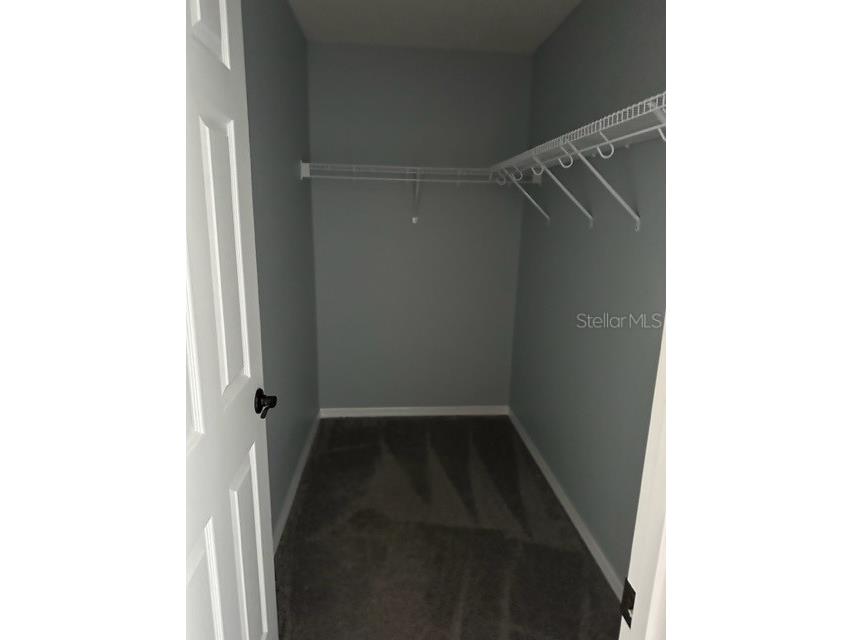 327 Tanager Street Haines City FL 33844 S5131726 image8