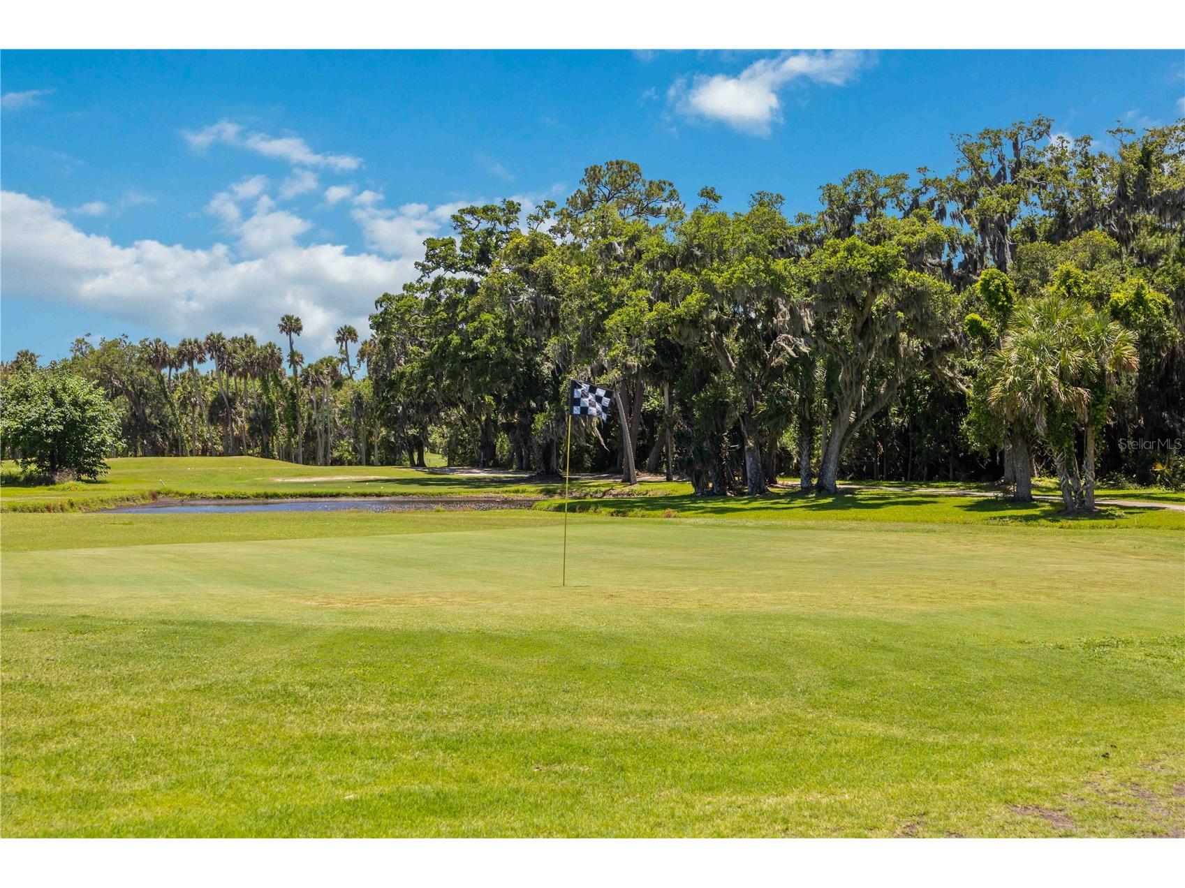 327 Wilder Boulevard #B501 Daytona Beach FL 32114 O6411318 image28
